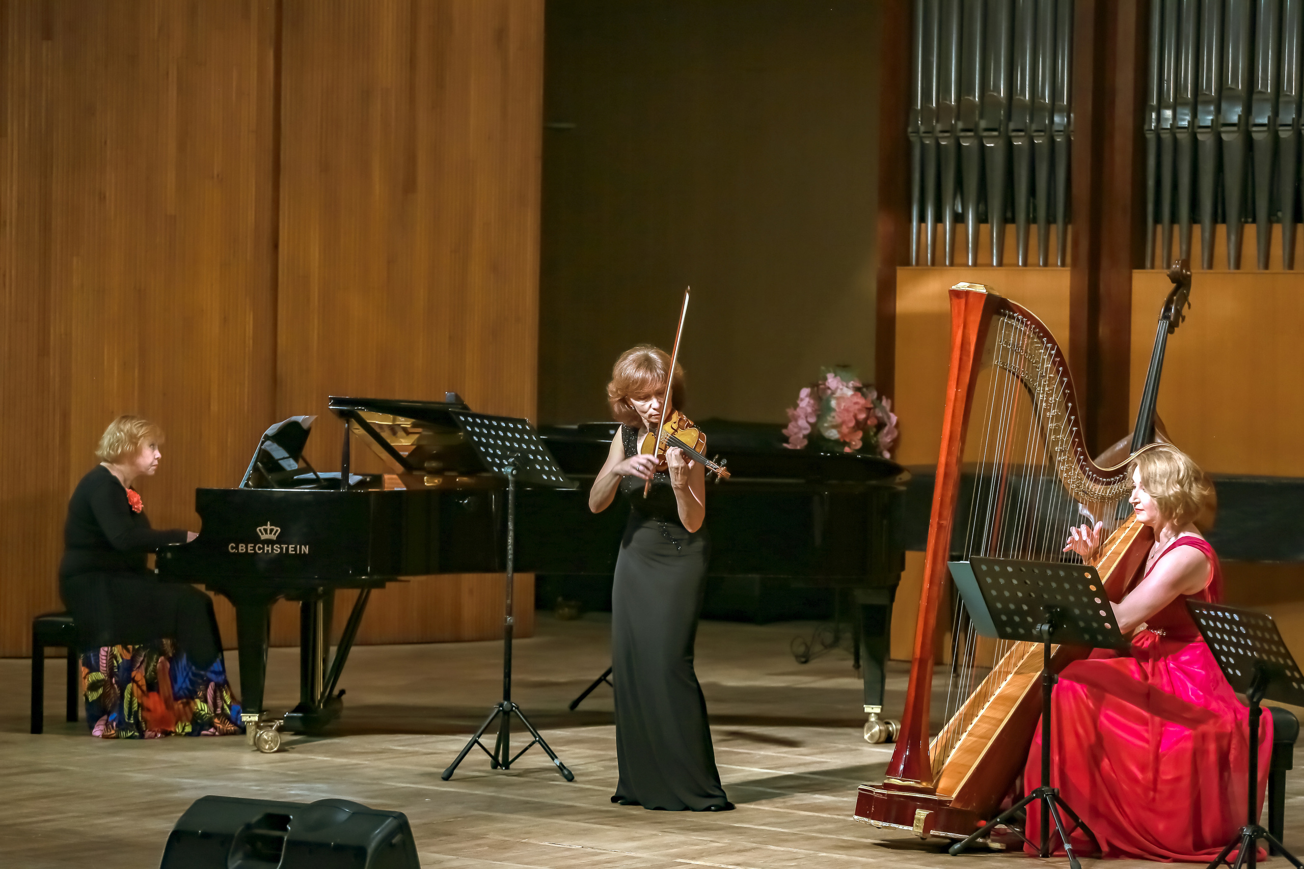 Арфа в ансамбле. Фотограф в Сочи Юрий Шептаев