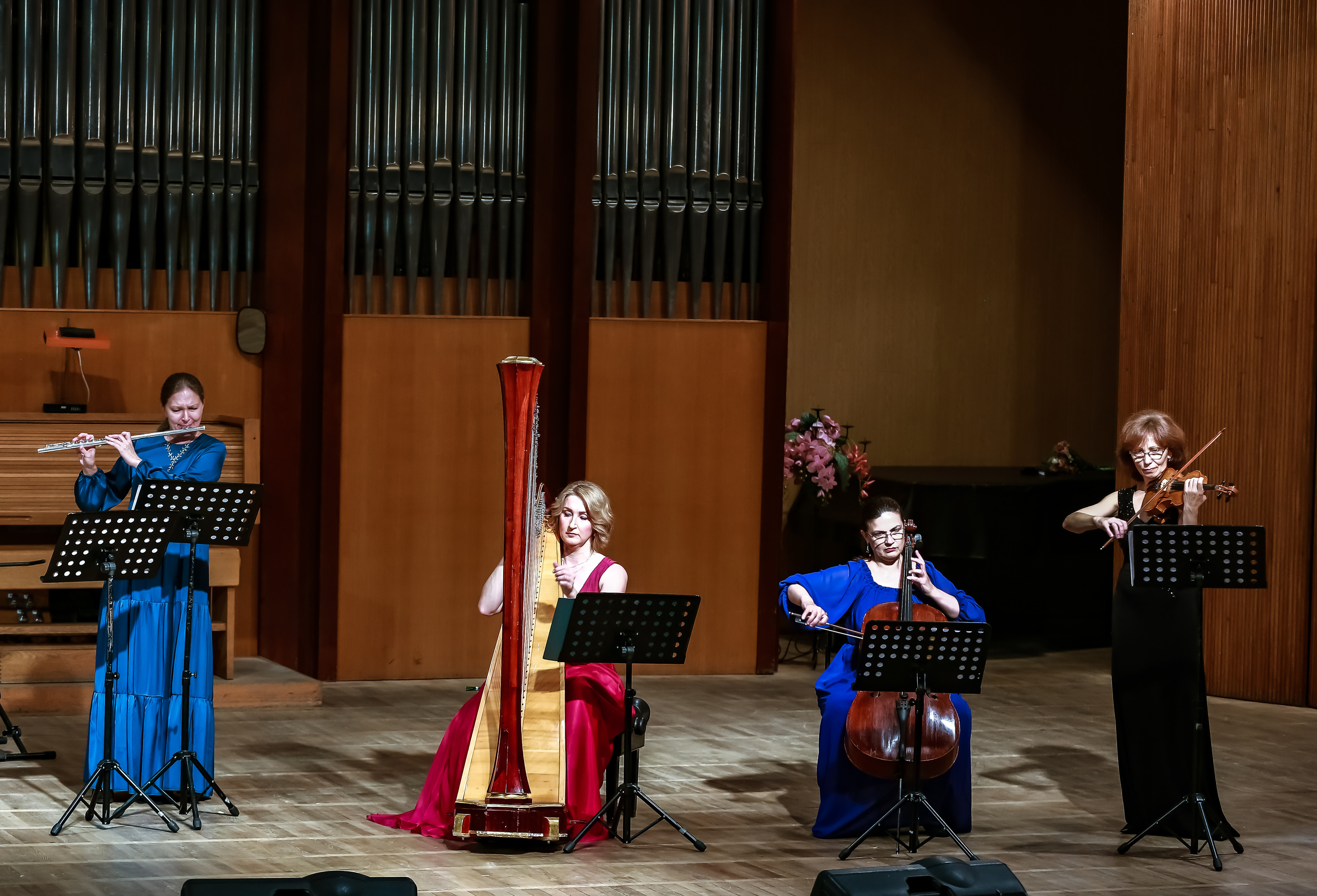 Арфа в ансамбле. Фотограф в Сочи Юрий Шептаев