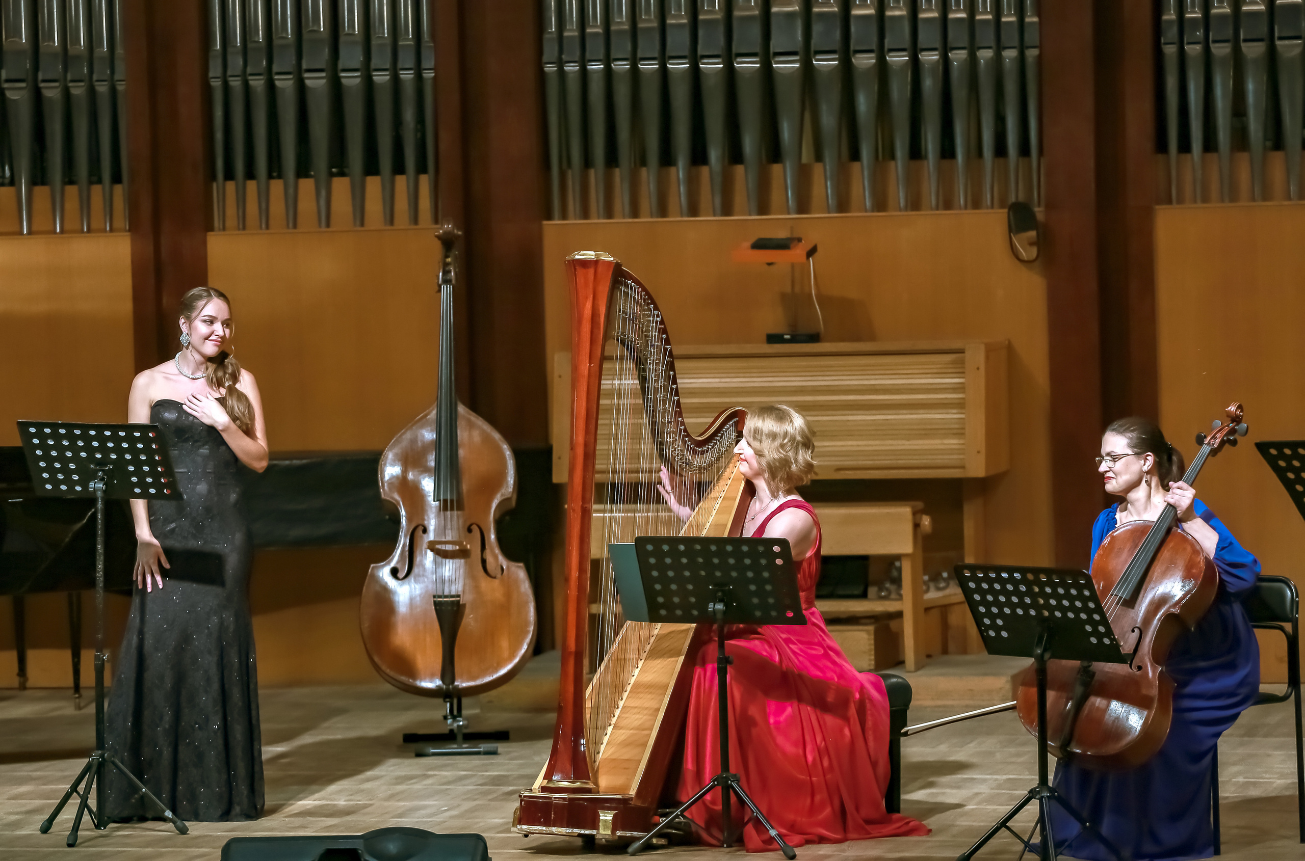 Арфа в ансамбле. Фотограф в Сочи Юрий Шептаев