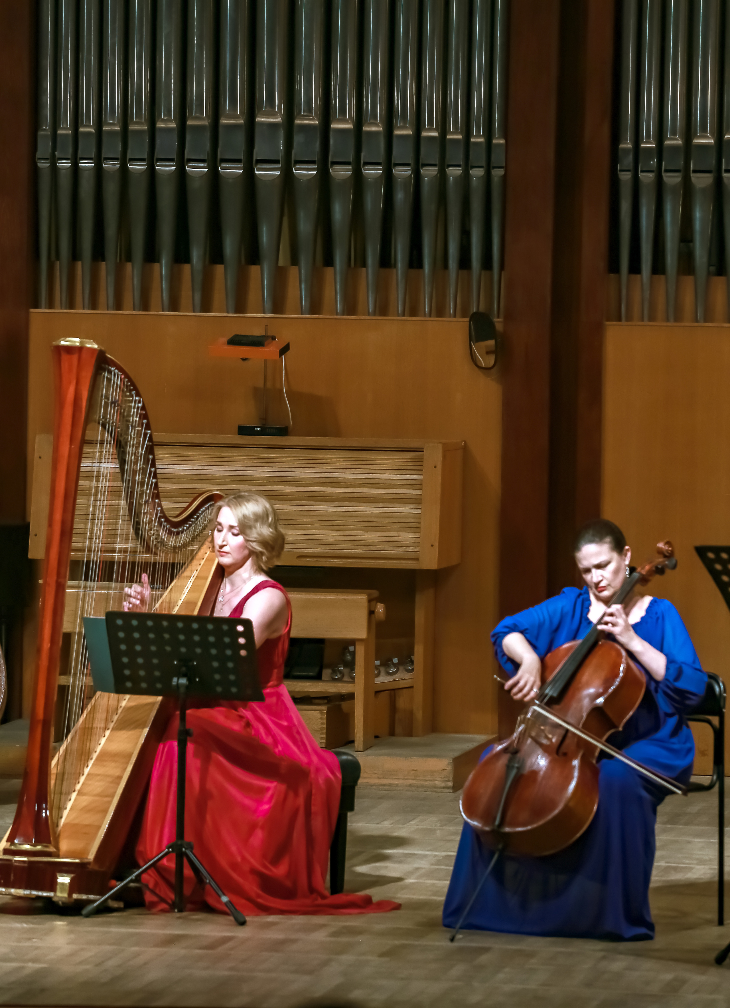 Арфа в ансамбле. Фотограф в Сочи Юрий Шептаев