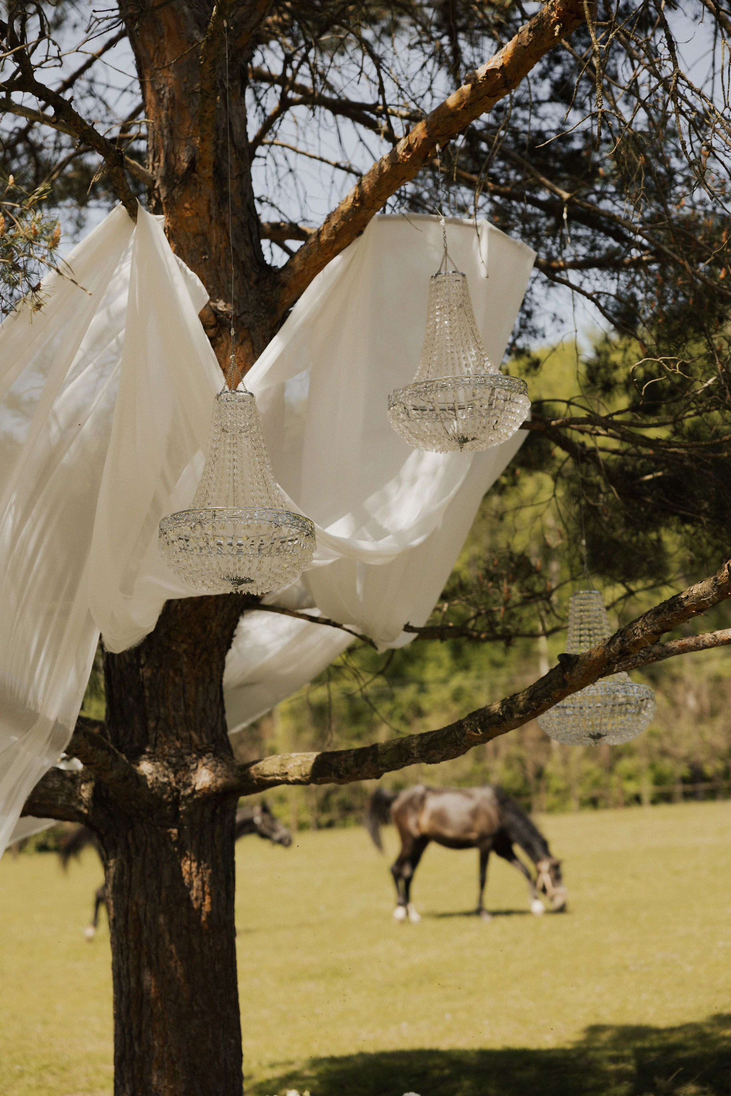 Никита и Ксения. Свадебный фотограф в Рязани и Москве Евгения Жмурова