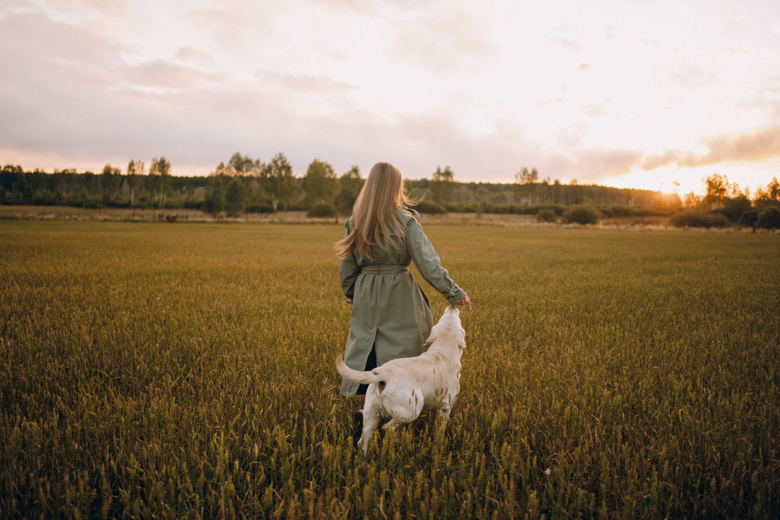 Дана и Арчи. Фотограф-анималист Анастасия Большакова