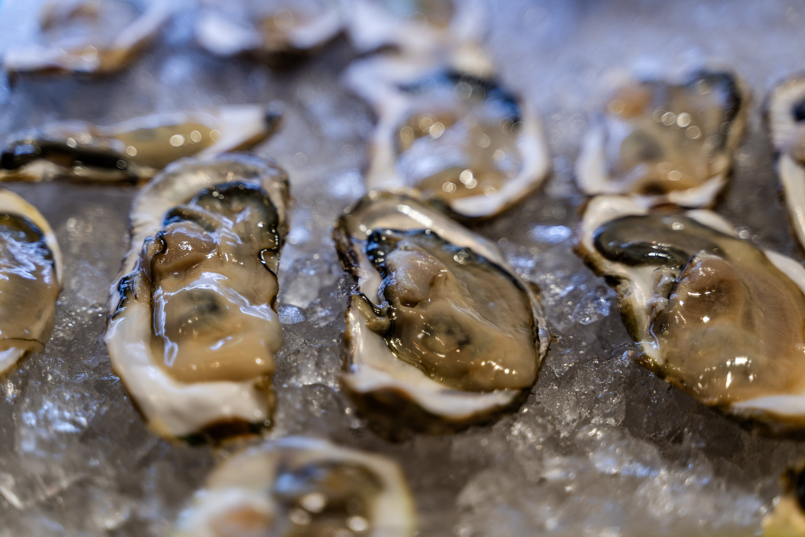 Фототур в Японию