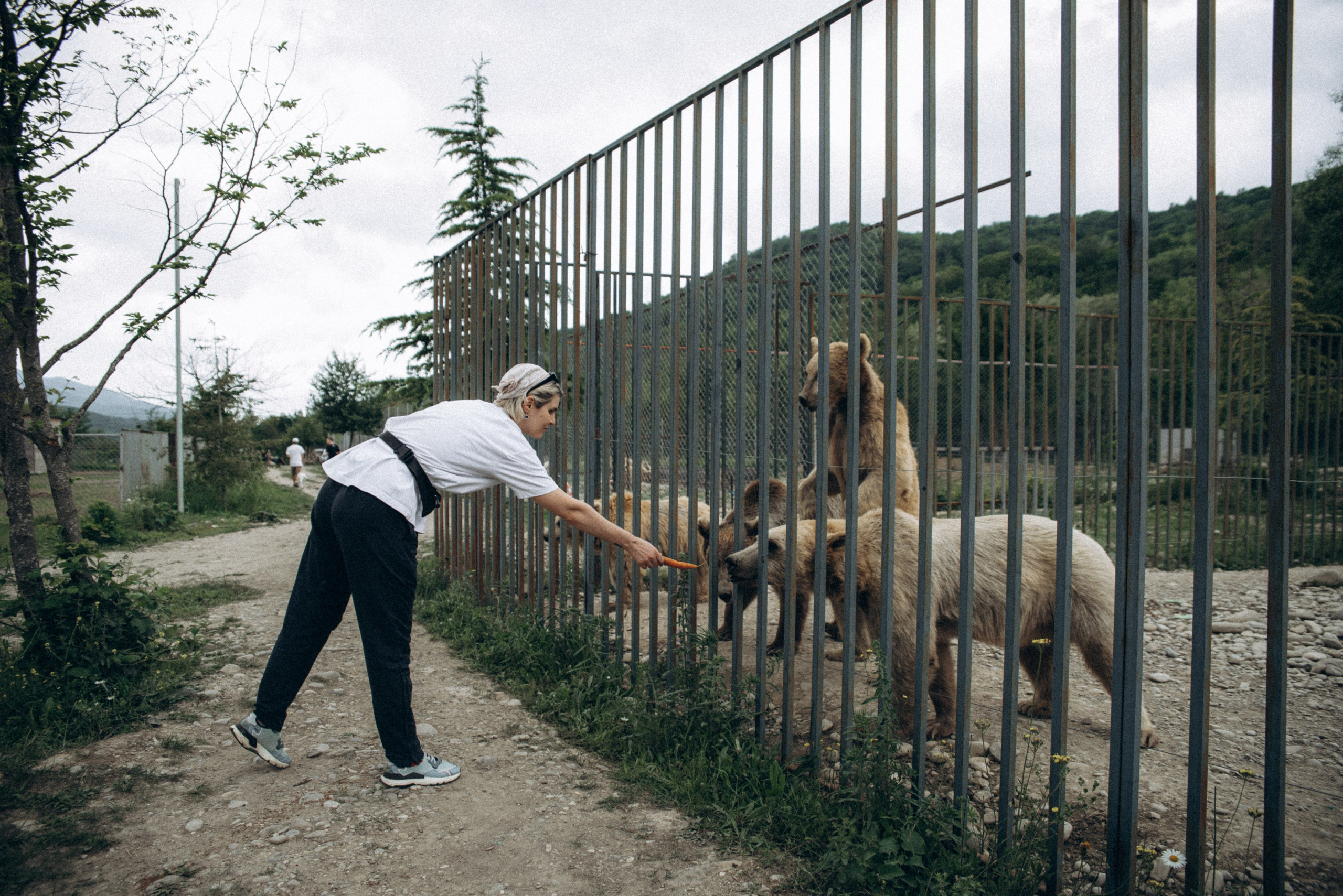 Медвежий приют, Мамкода, Грузия 🇬🇪 «Honey Trip». Anita_photo