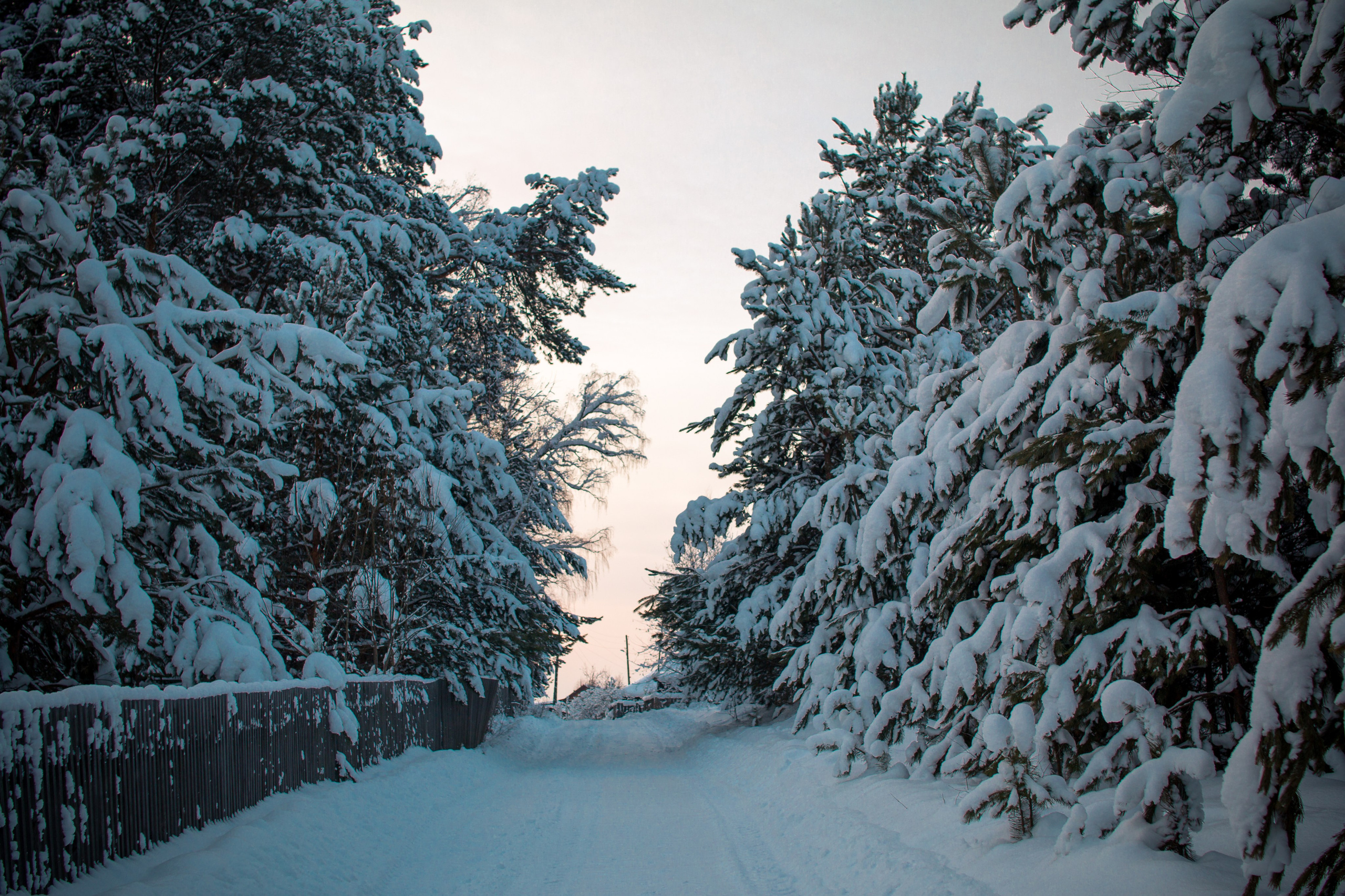 Зима. Ваш фотограф Северск | Томск
