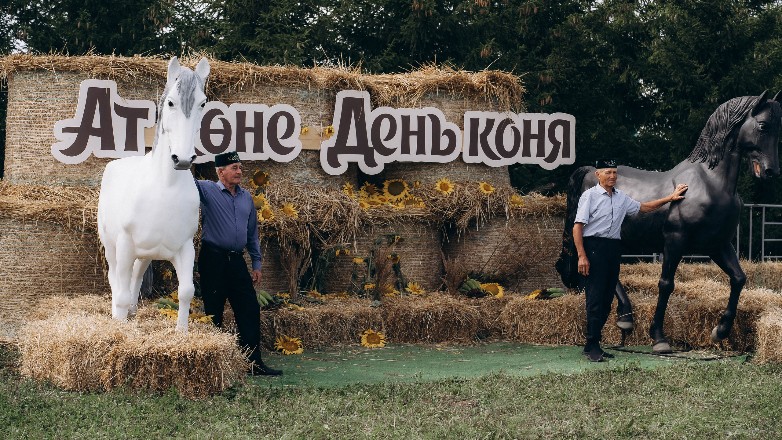 День Коня. Алиса Никитцова | Фотограф в Казани