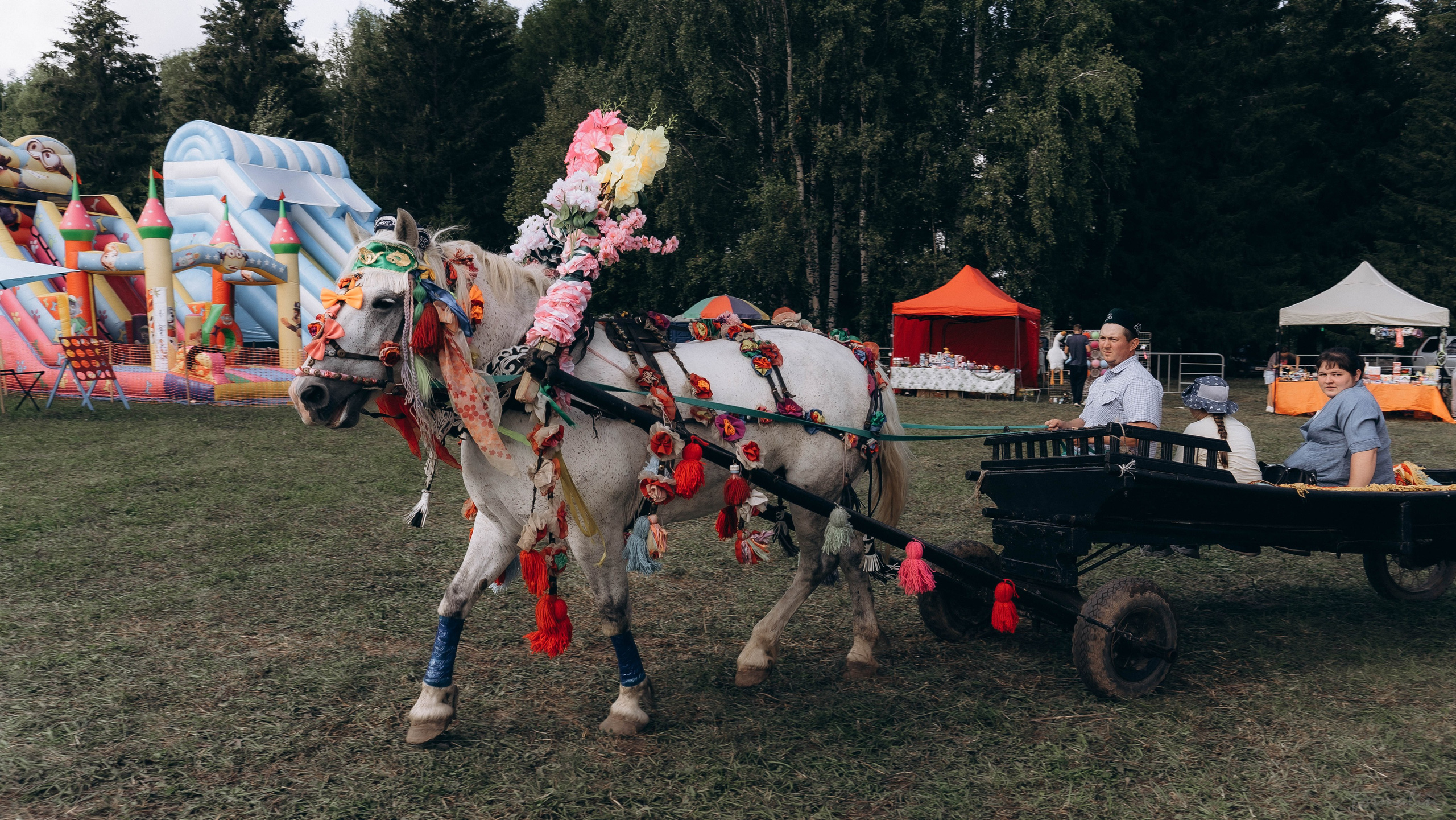 День Коня. Алиса Никитцова | Фотограф в Казани