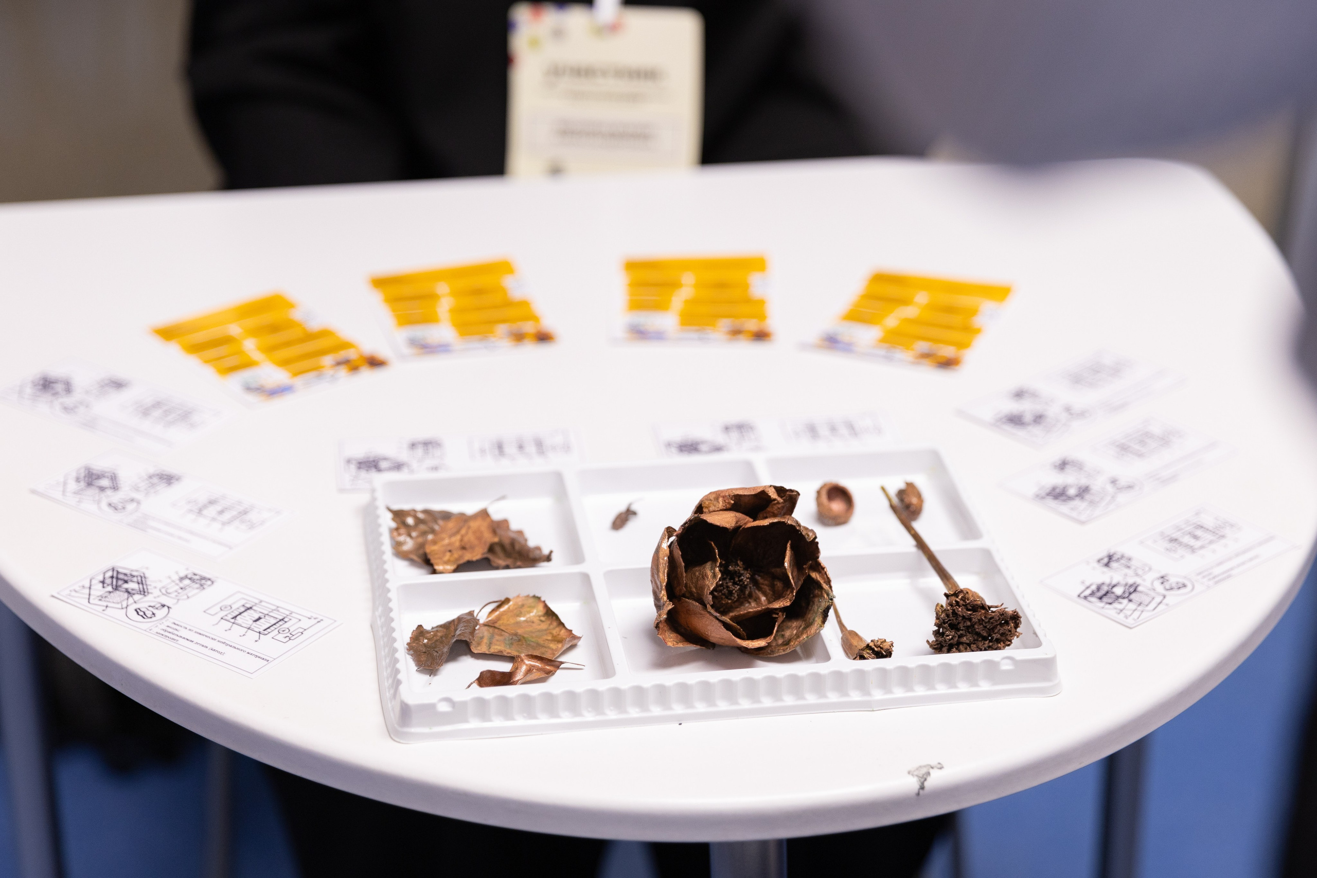 НПК «Наука в твоём ДНК». Олег Катакинов| Репортажный фотограф в городе у моря (Владивосток)