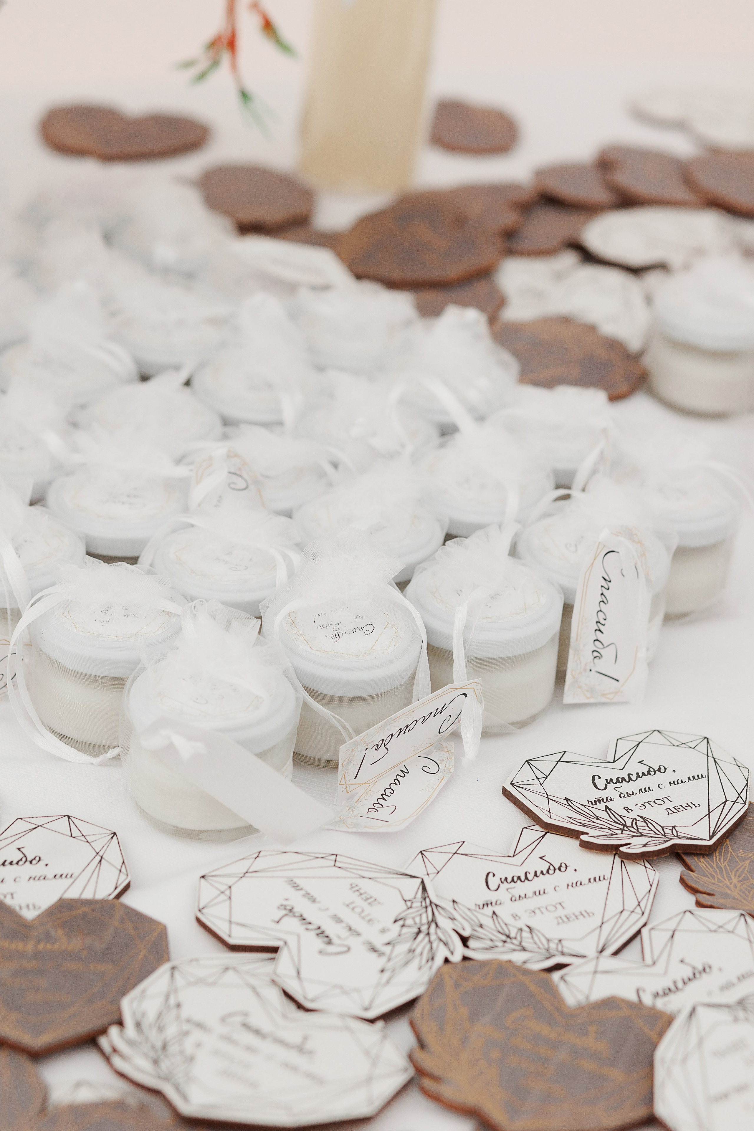 Александр и Екатерина. Свадебный и семейный фотограф в Твери и Тверской области