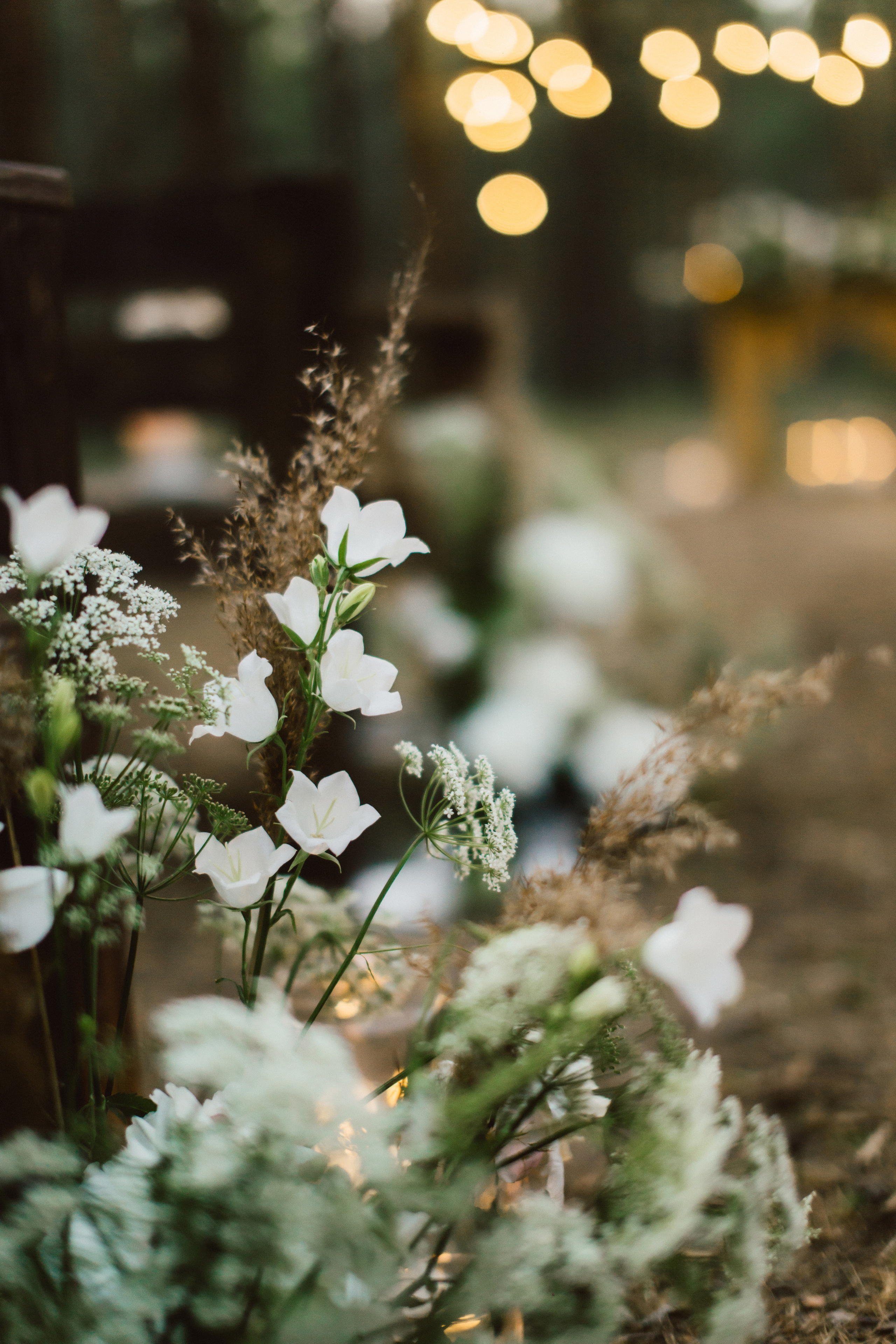 Дима и Катя. Профессиональная видео и фото съёмка в Калуге и области