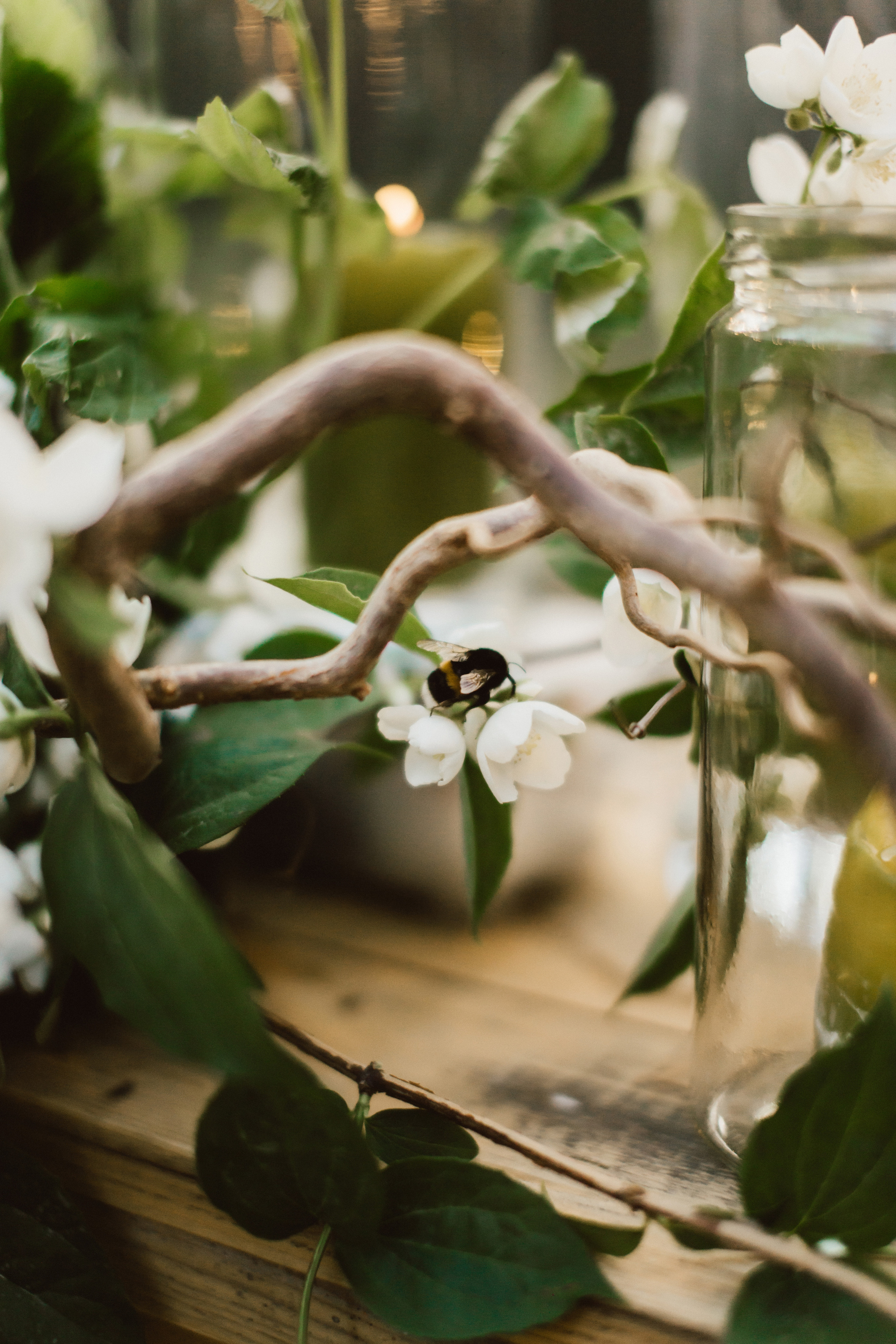 Дима и Катя. Профессиональная видео и фото съёмка в Калуге и области