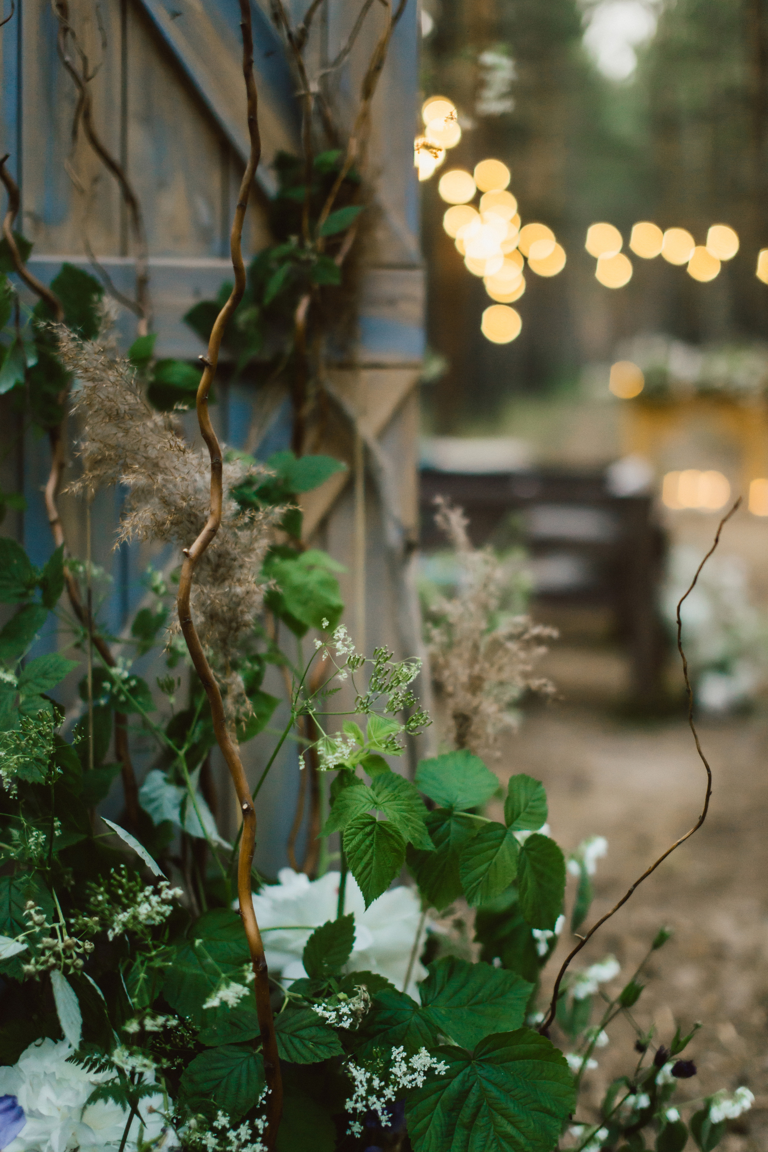 Дима и Катя. Профессиональная видео и фото съёмка в Калуге и области