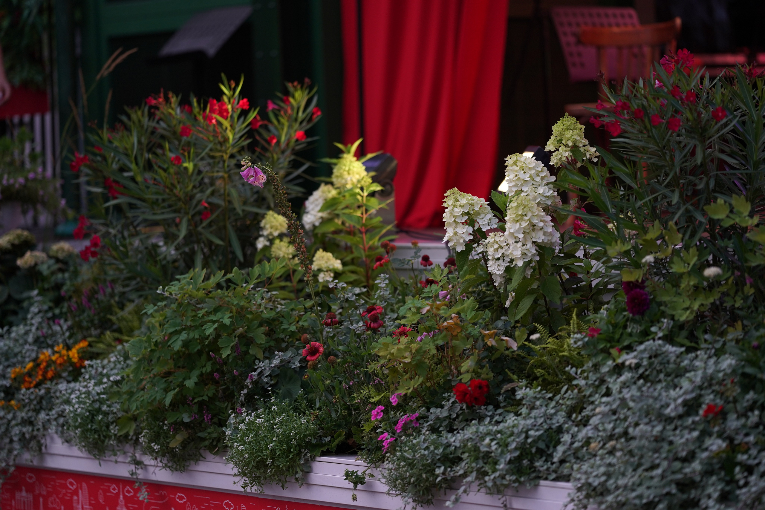 Московское чаепитие. Московские сезоны. Фотограф в Москве Мария ~Zagagul~