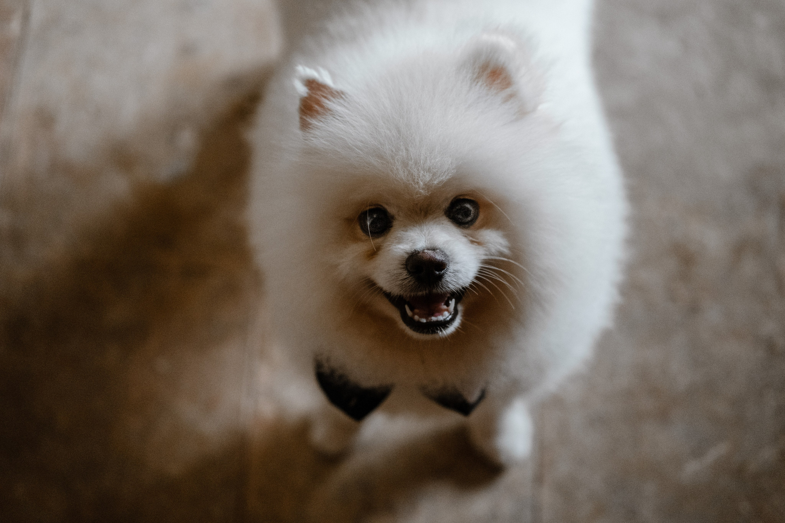 Бали|Ярослав&Камила. Фотограф на Бали|Свадьба на Бали