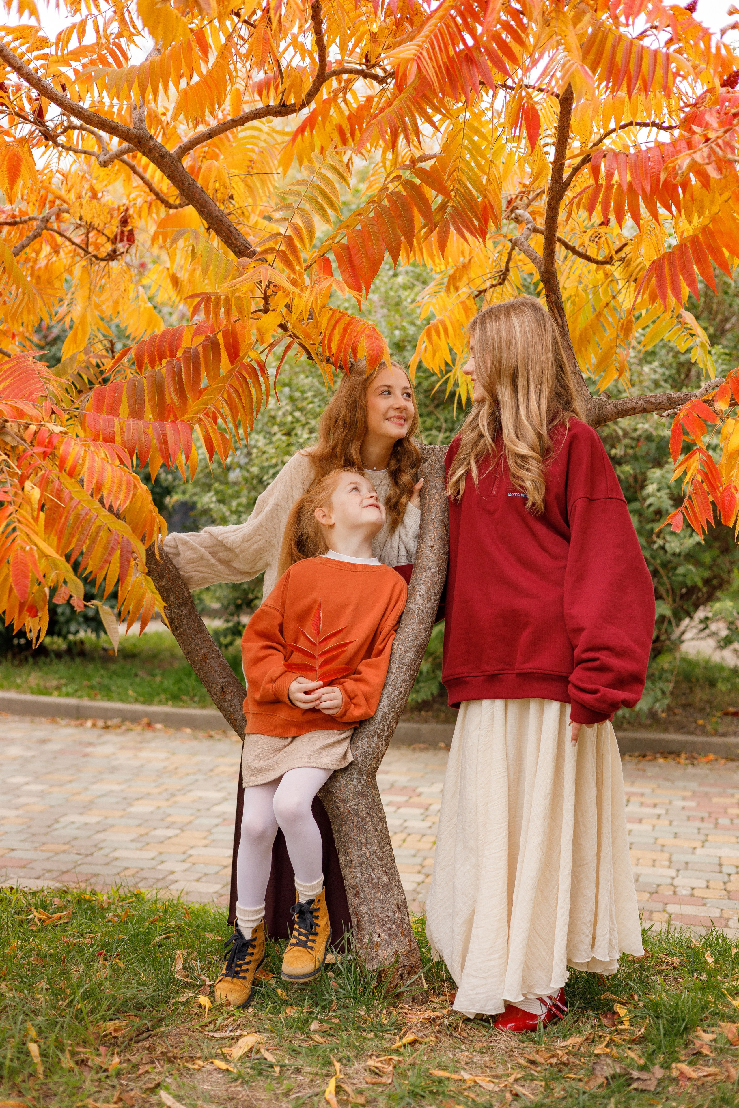 Осень на Юге