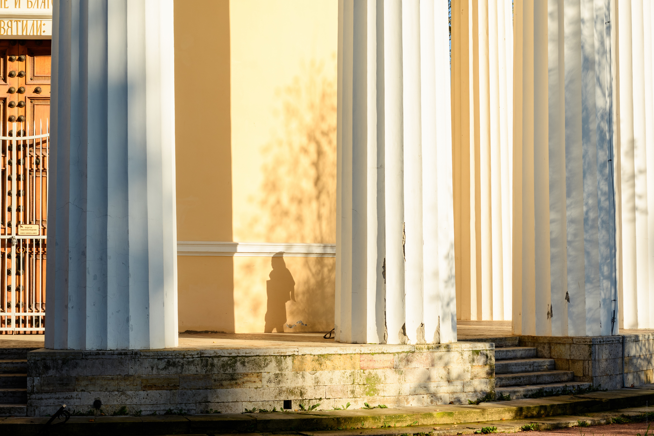 Фотосессия на природе. Семейный и индивидуальный фотограф Life style в Санкт-Петербурге Мария