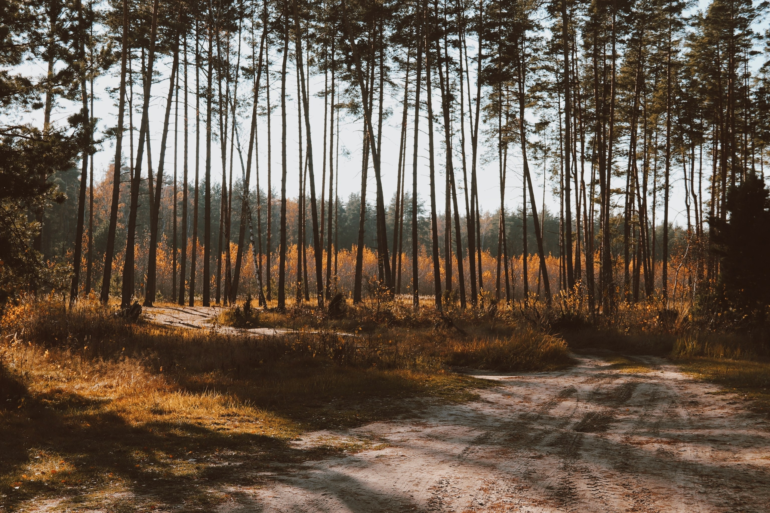 По тропе Паустовского. С любовью, фотохудожник