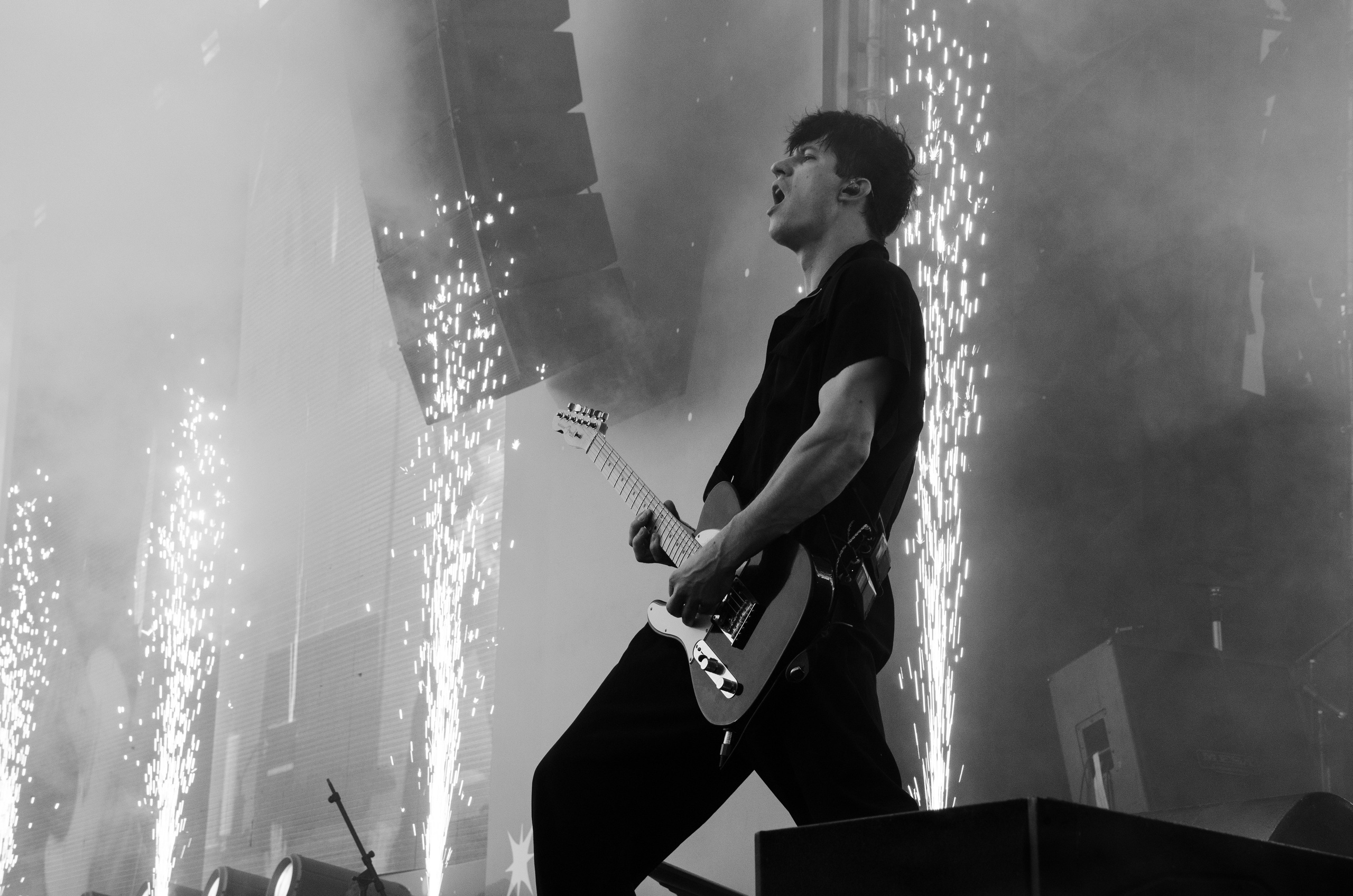 Черника Фест Ramil'. Фотограф Универсал в Новосибирске