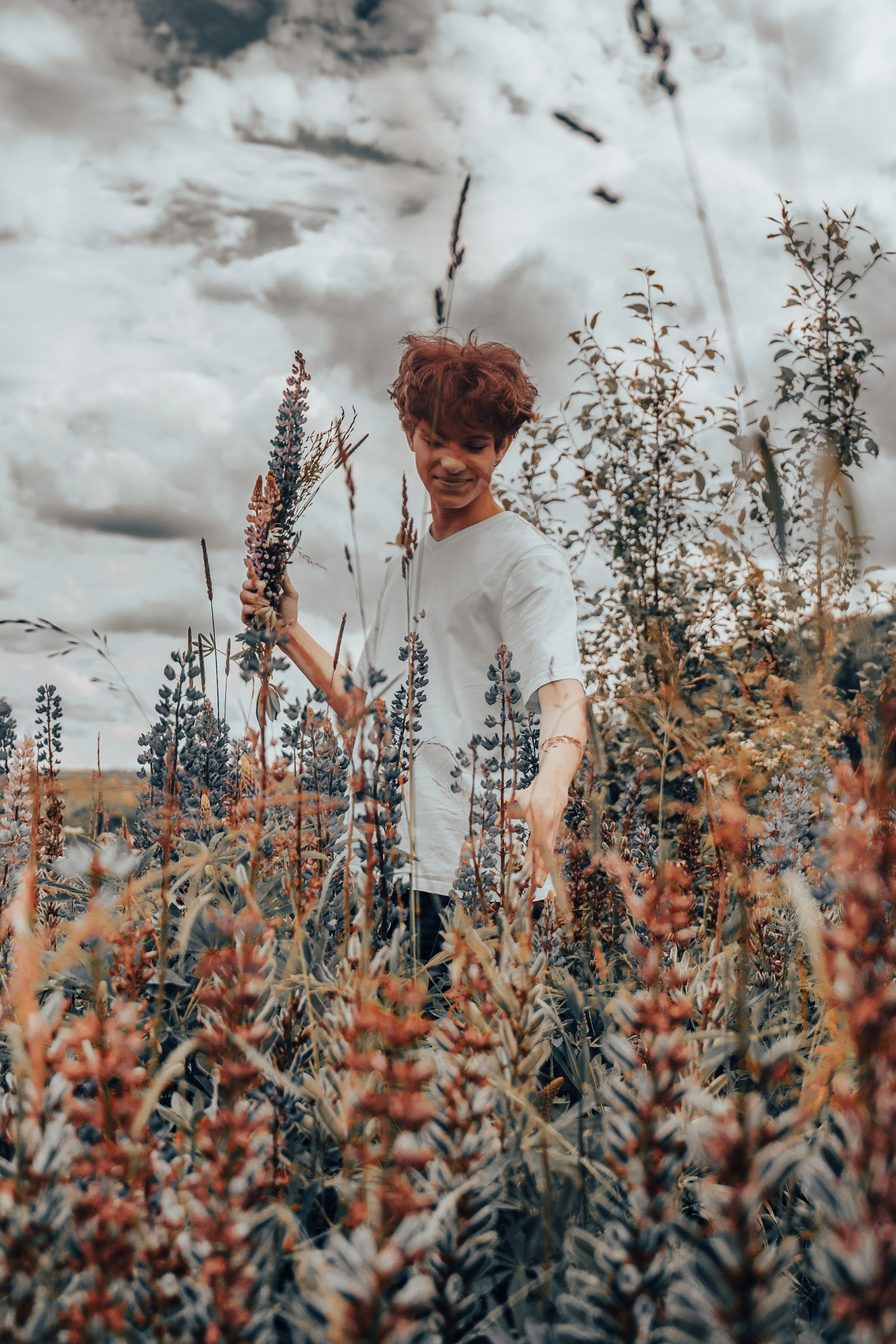 Фотосессия в поле. ТриМедиа Продакшн