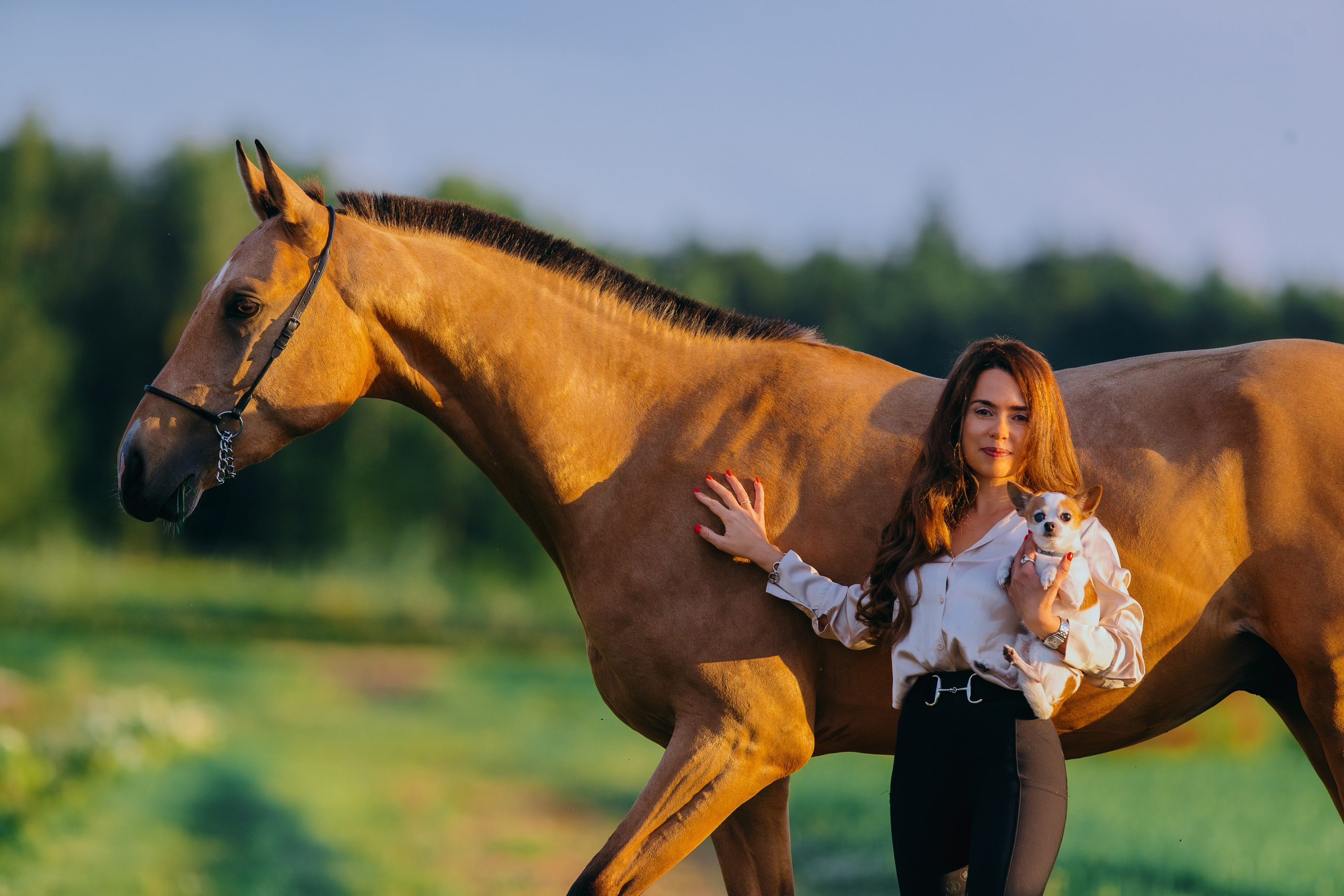 Лена и Персей. Фотограф-анималист Ксендзова Кристина