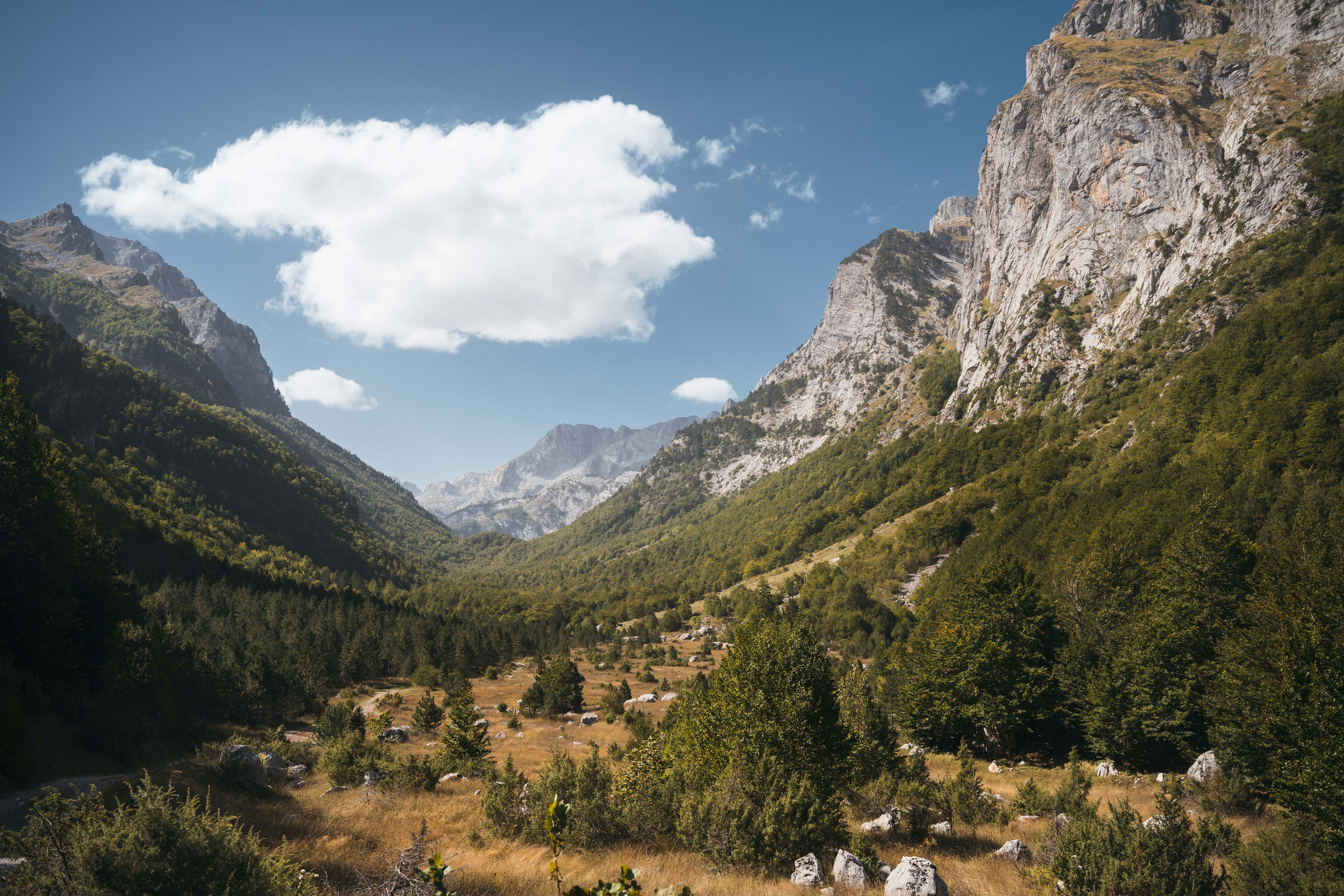 ДОЛИНА РАПОЯНА. ЧЕРНОГОРИЯ. Фотограф в Белграде Чугреева Елена