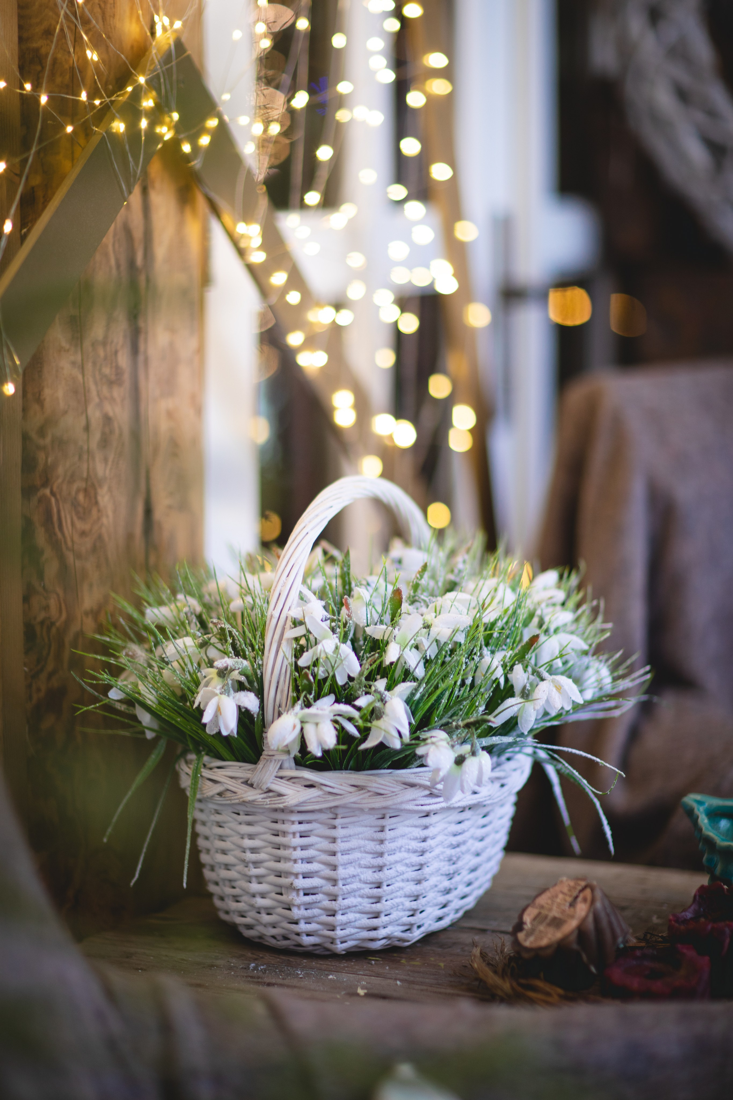 Домик в лесу. Семейный фотограф в Москве Анастасия Гурьянова