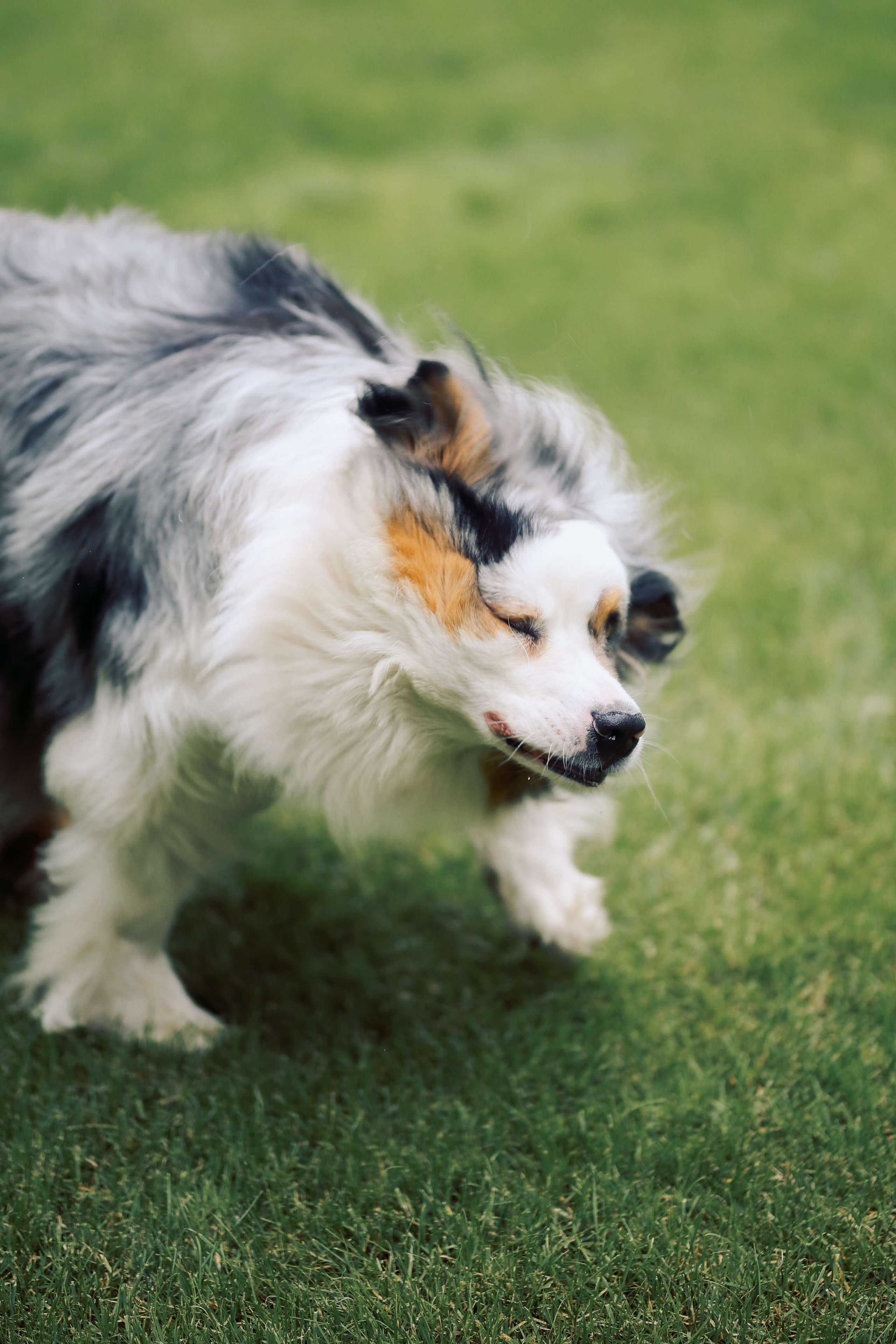 Юлия с семьей. Фотограф Анастасия Залевская
