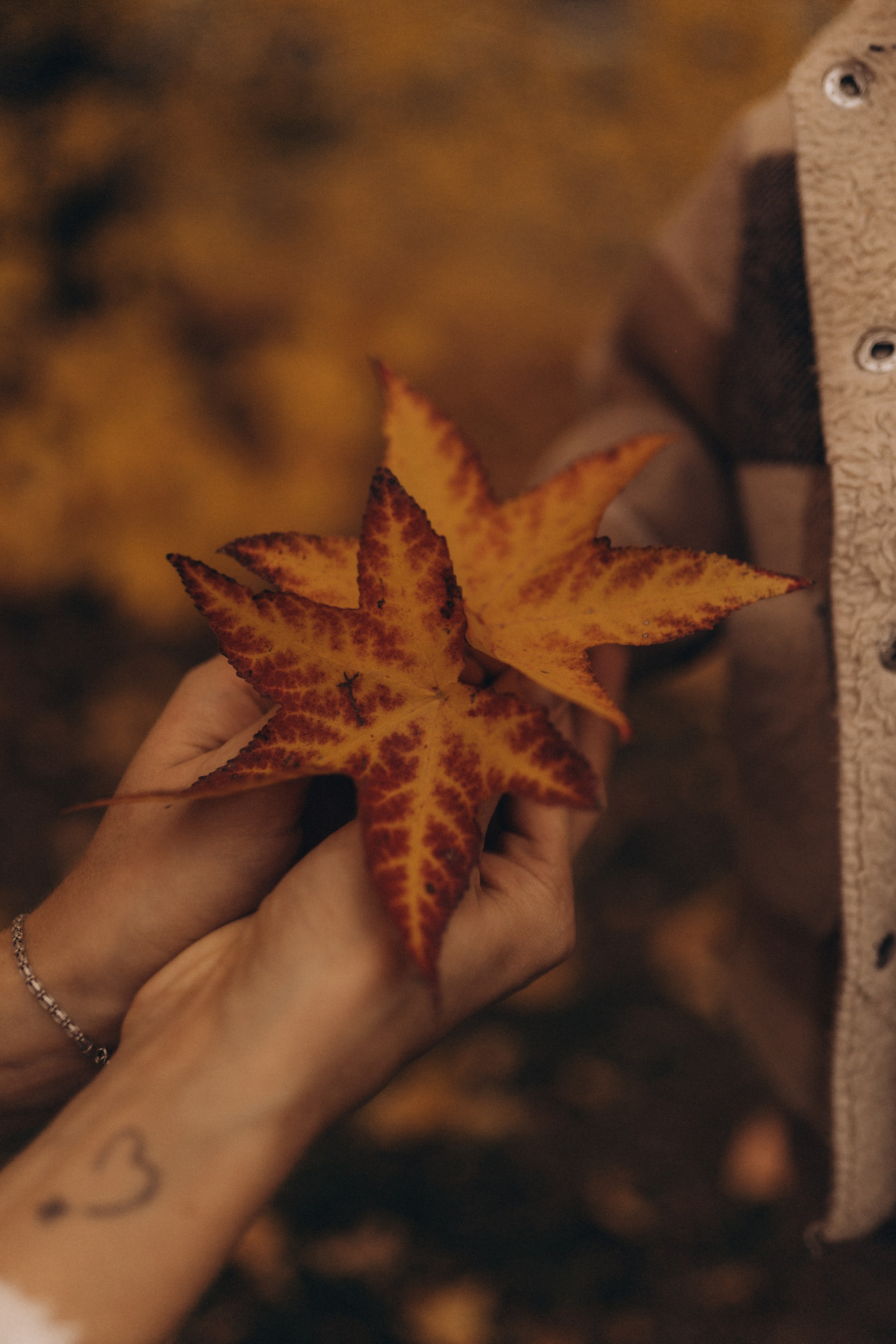 Тайная опора. Семейный фотограф в Челябинске