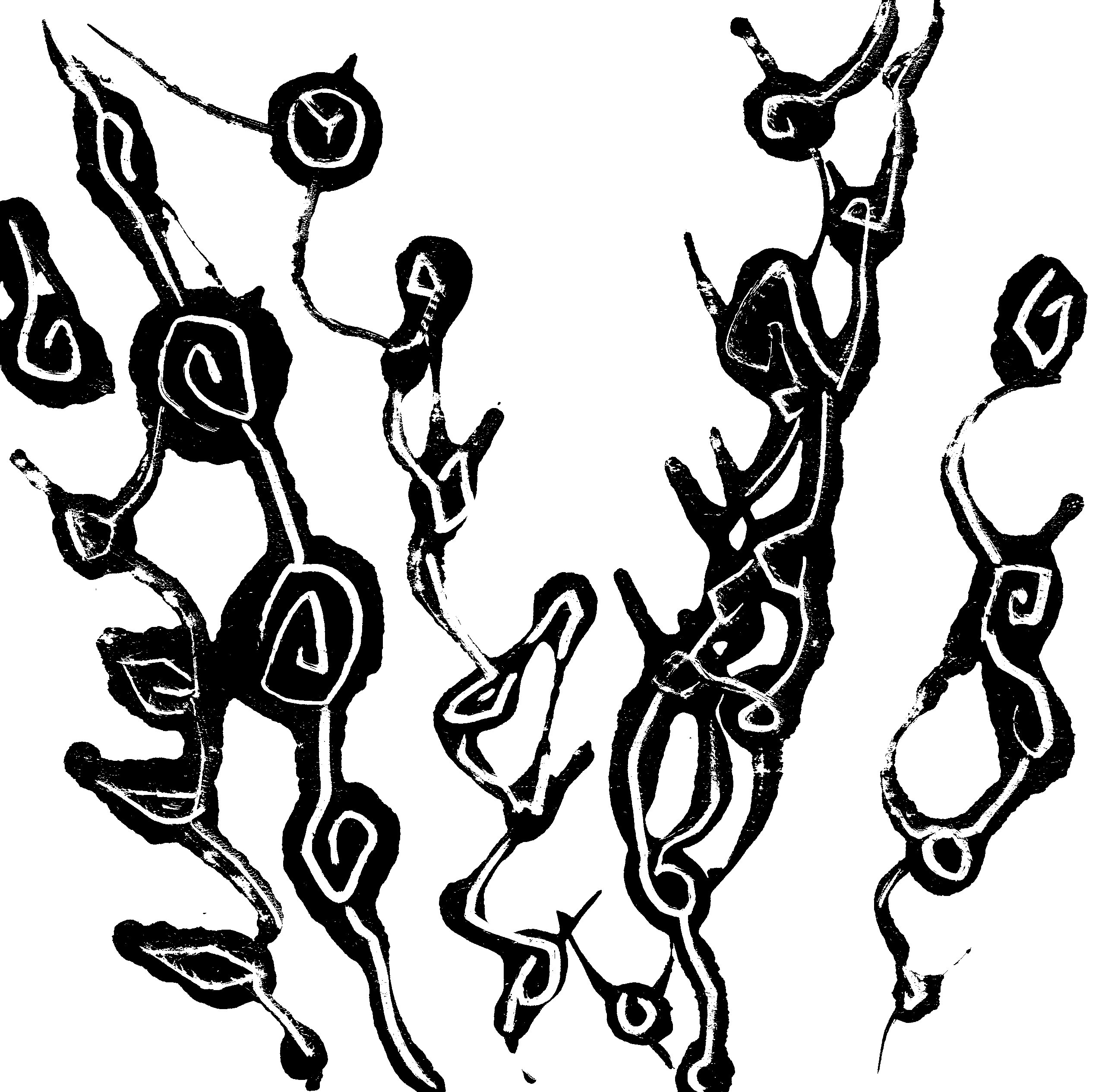 Растительные иллюстрации