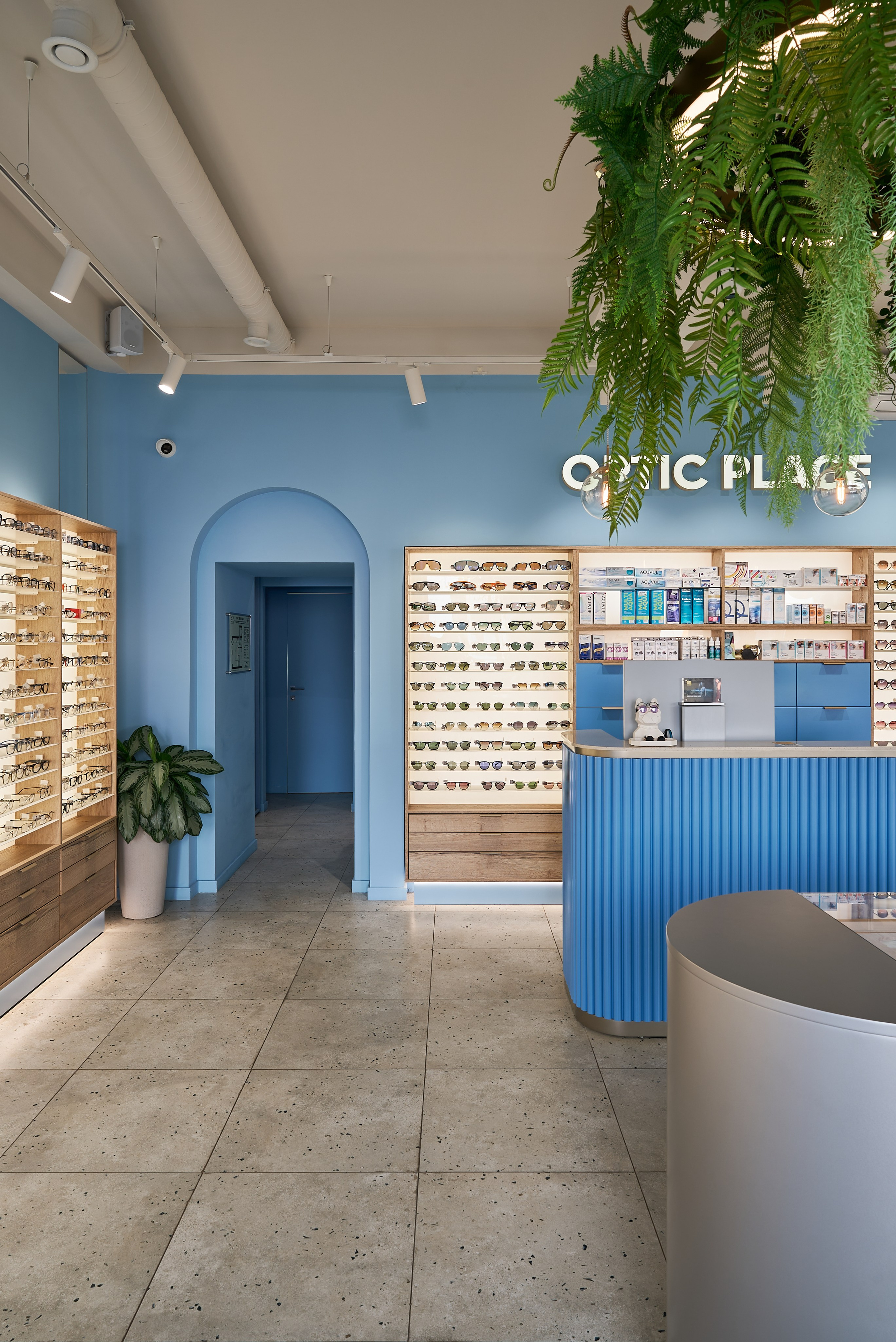 Небесно-голубой и капибара: оптика в Москве (Публикация My Decor). Бояршинов Антон Интерьерный фотограф/видеограф Москва