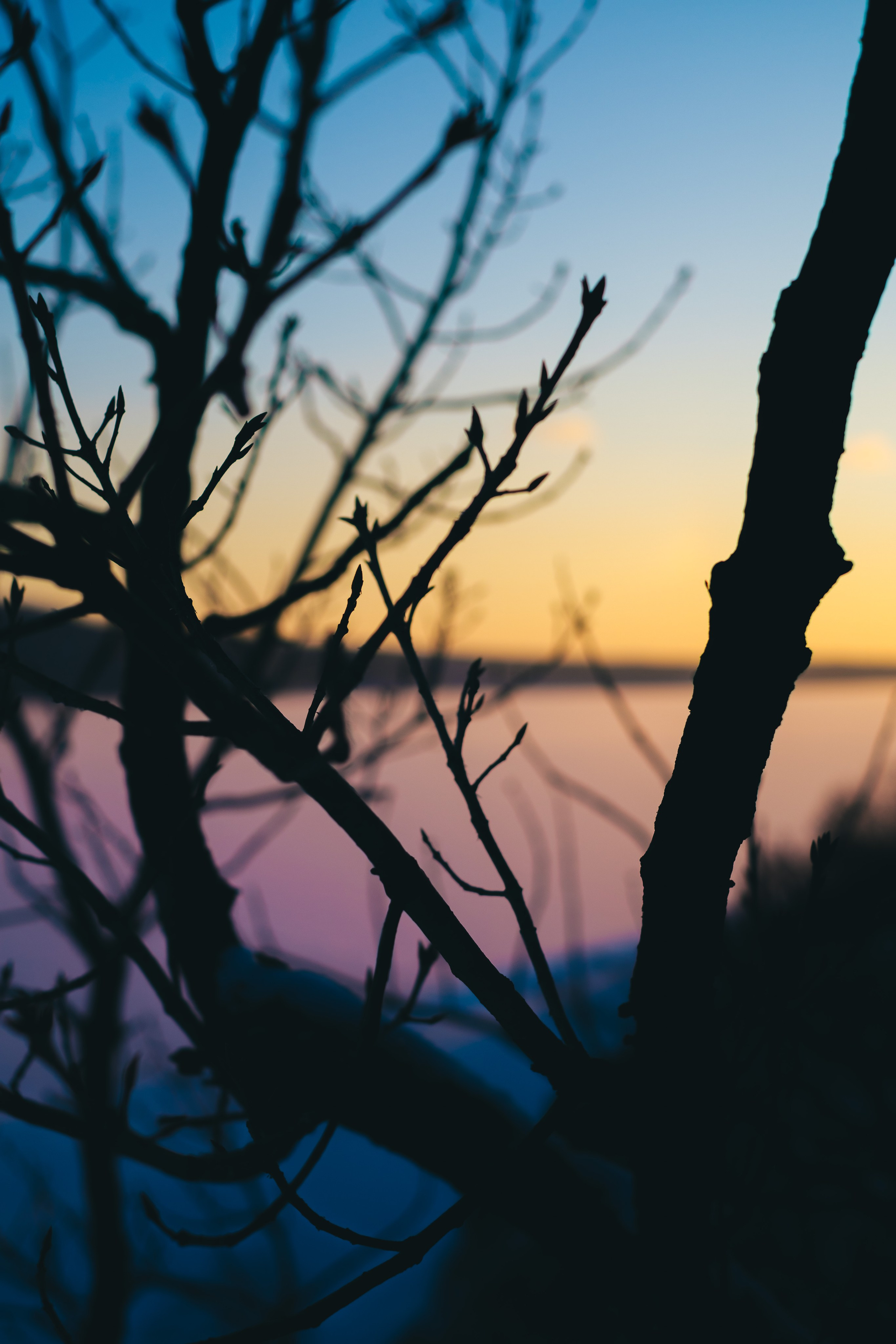 Бурейский тур. Фотограф Благовещенска Яна