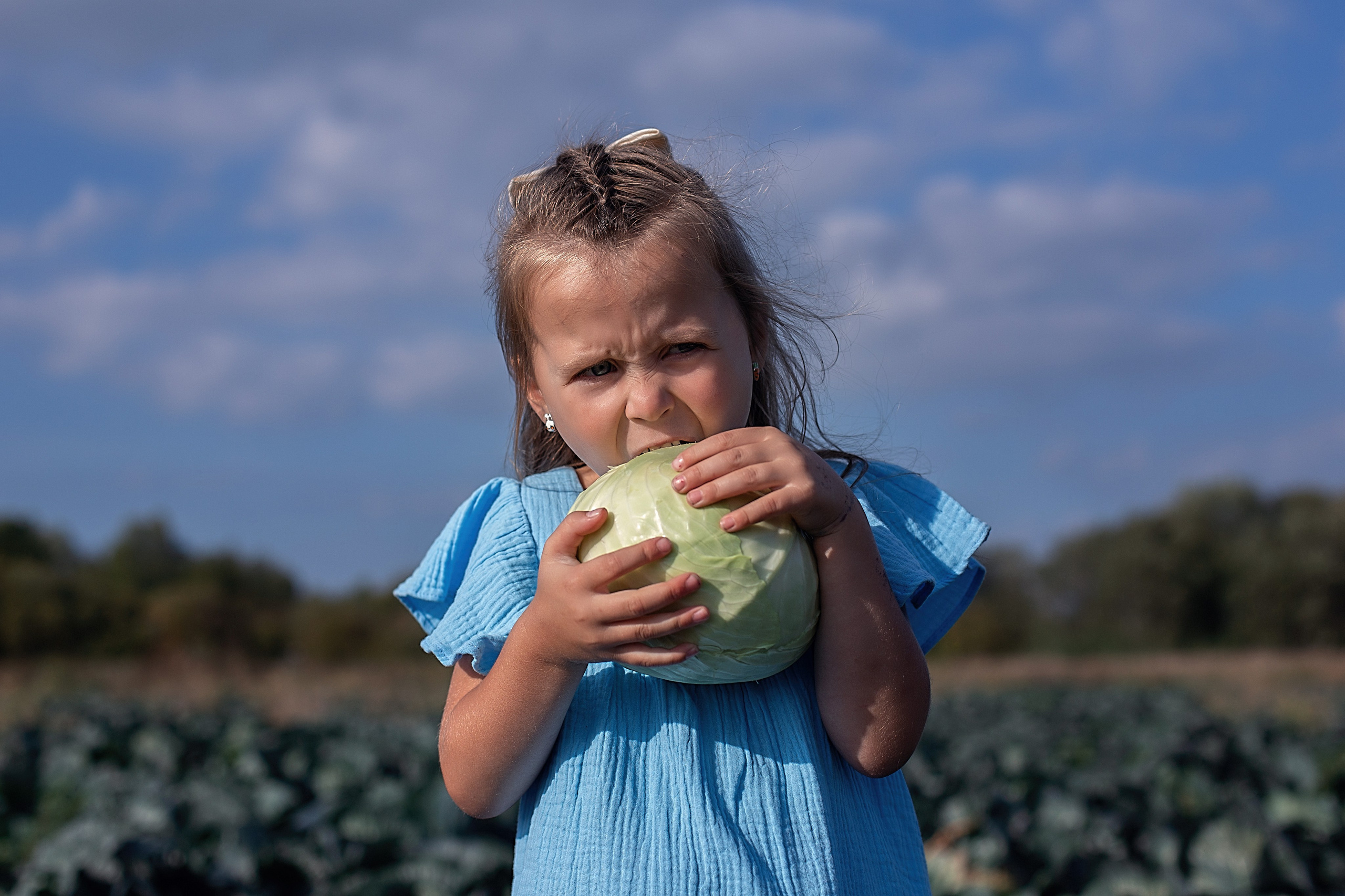 Капустное поле_Ленинградская область. Семейный фотограф в Санкт-Петербурге