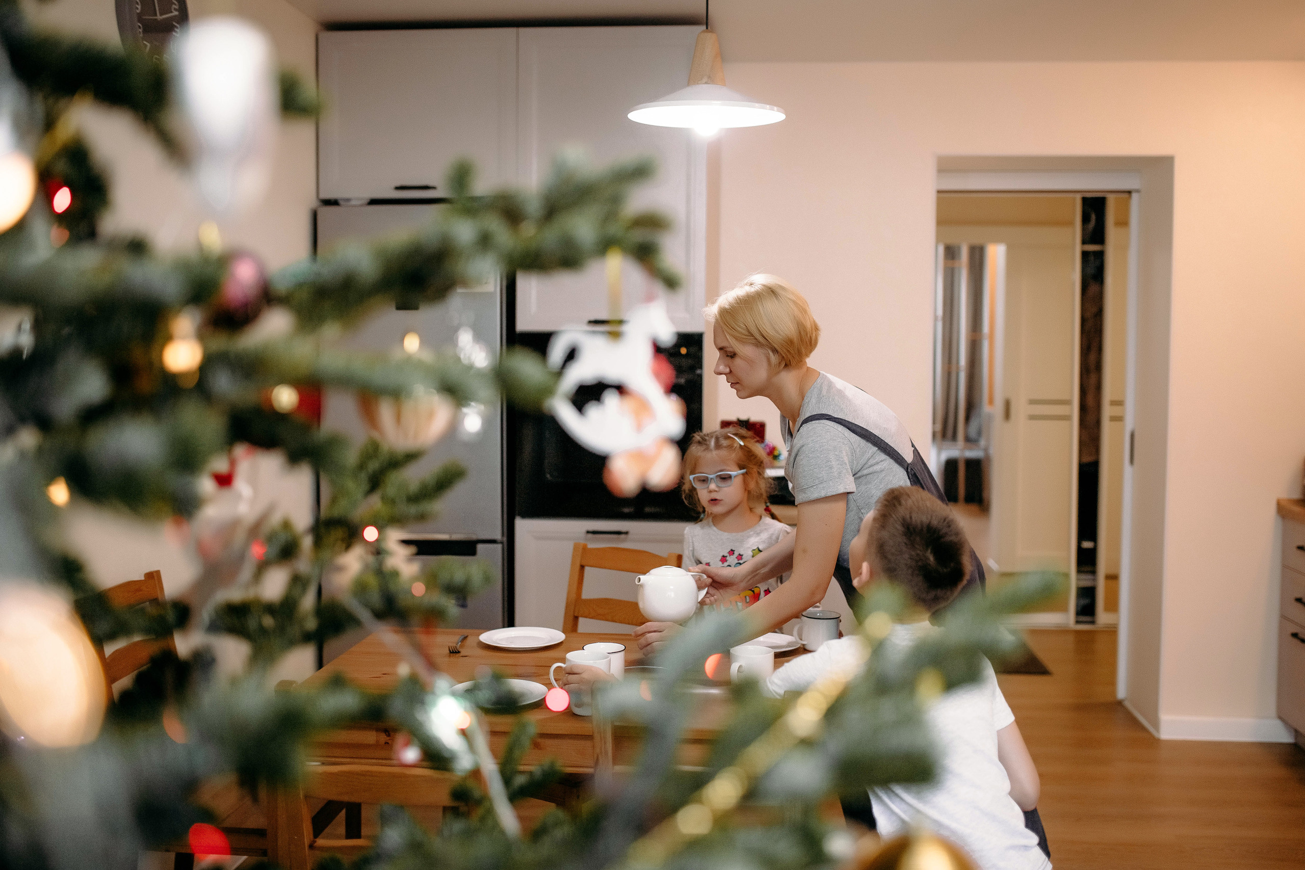 Новогодняя семейная история. Свадебный и семейный фотограф Сасина Элина г.Хабаровск