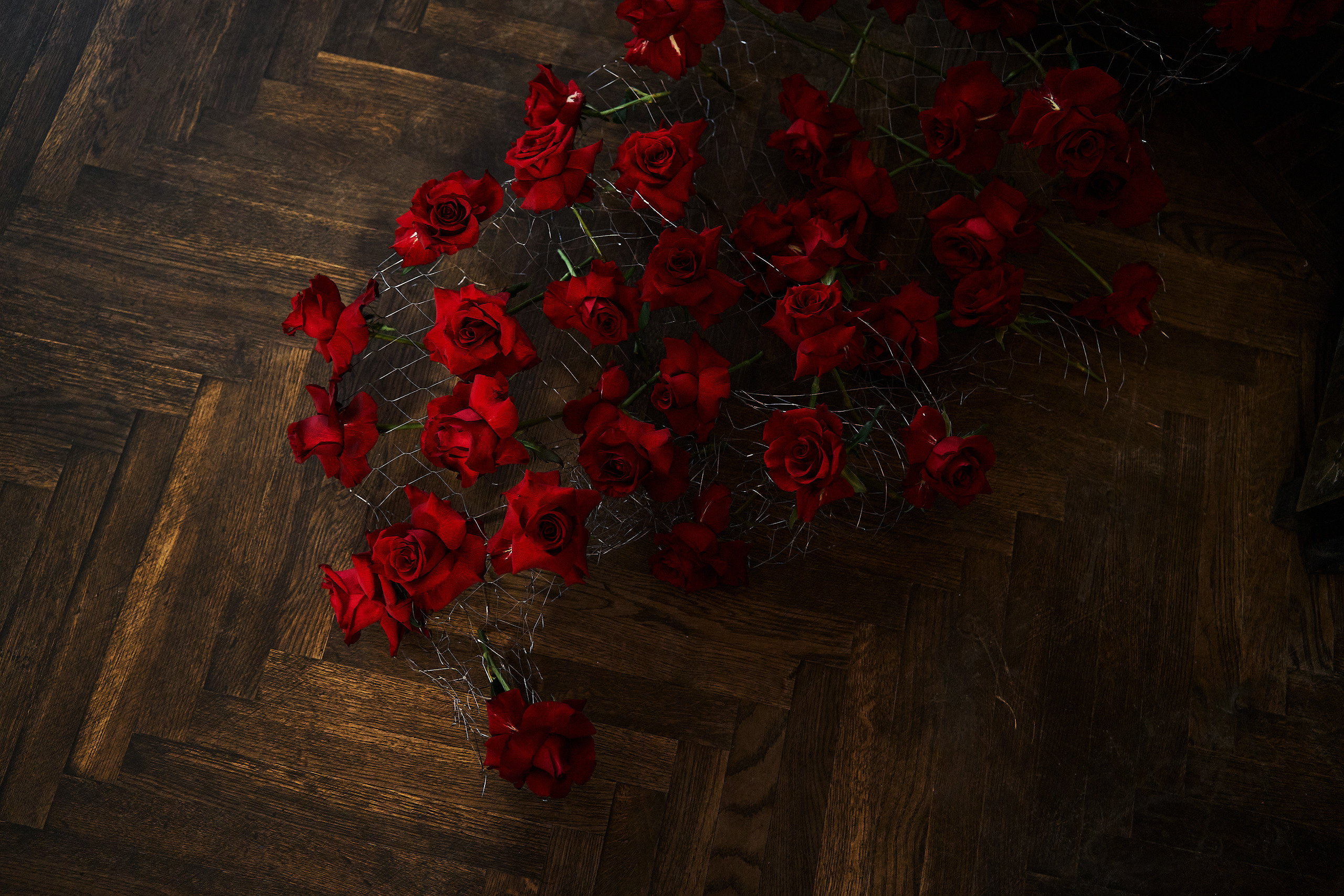 Даниил и София. Свадебный фотограф в Барнауле Четошникова Анна