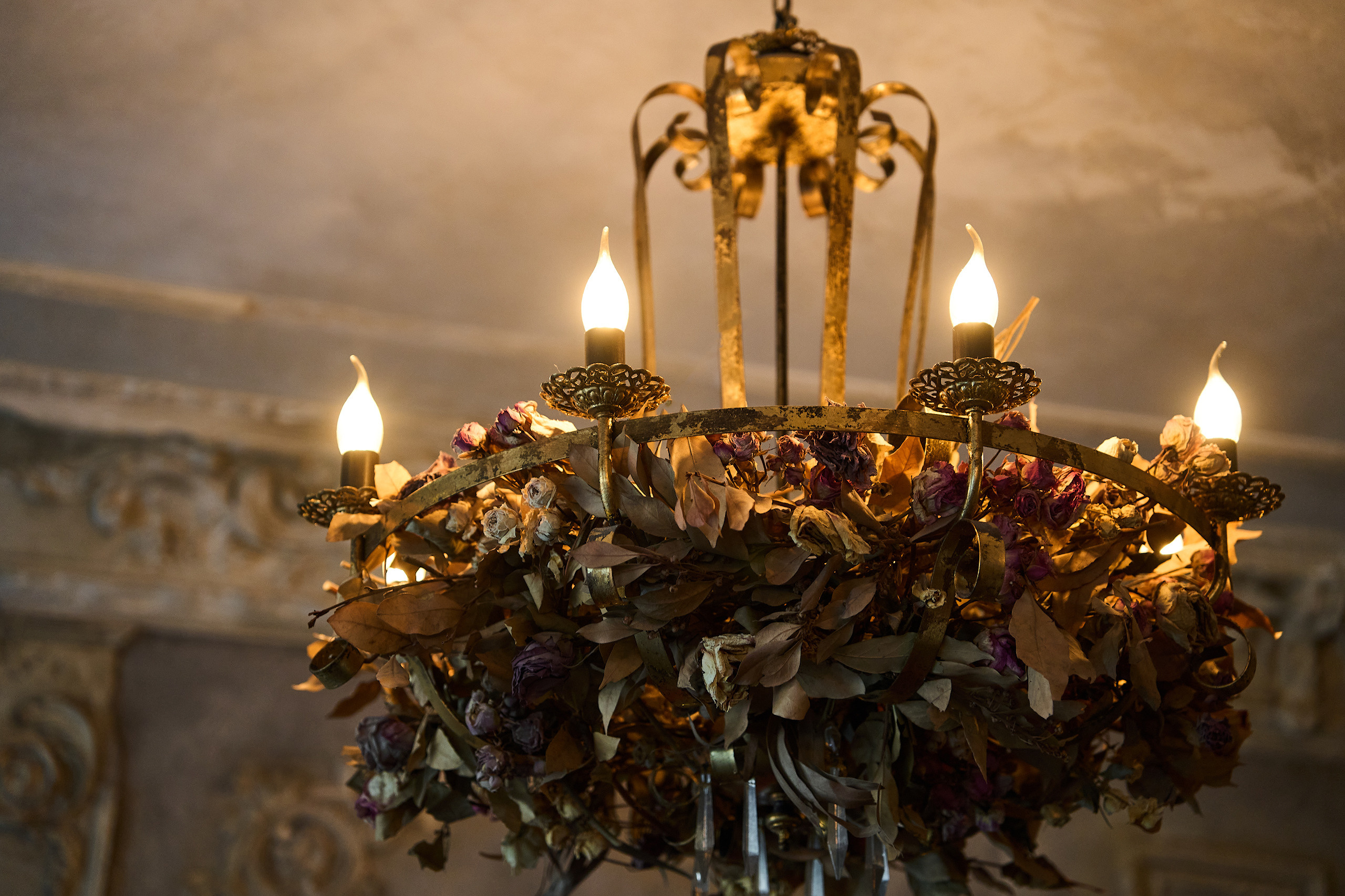 Даниил и София. Свадебный фотограф в Барнауле Четошникова Анна