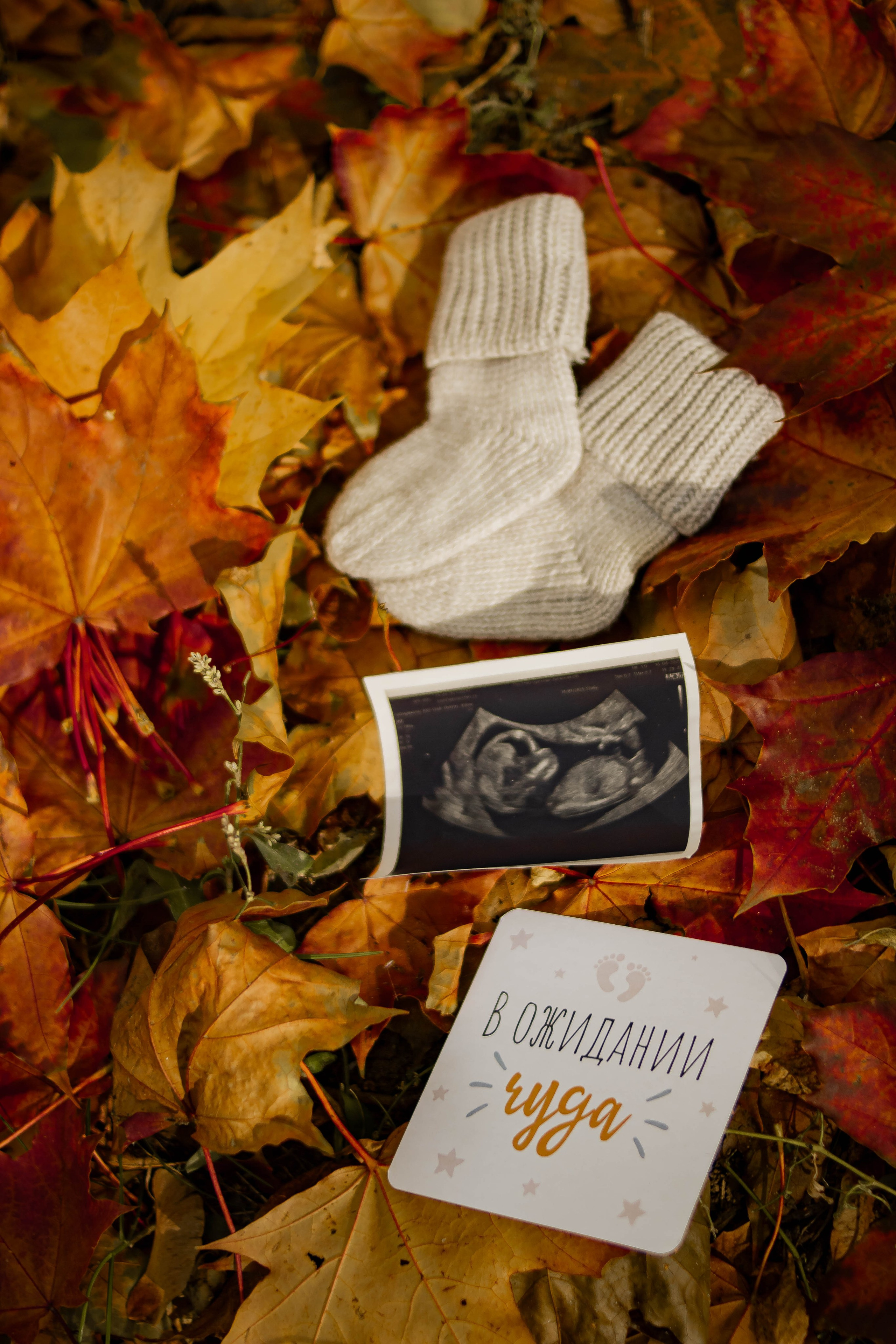 Ожидание в осенних красках. Семейный и детский фотограф в Павловском Посаде Сарапкина Наталья