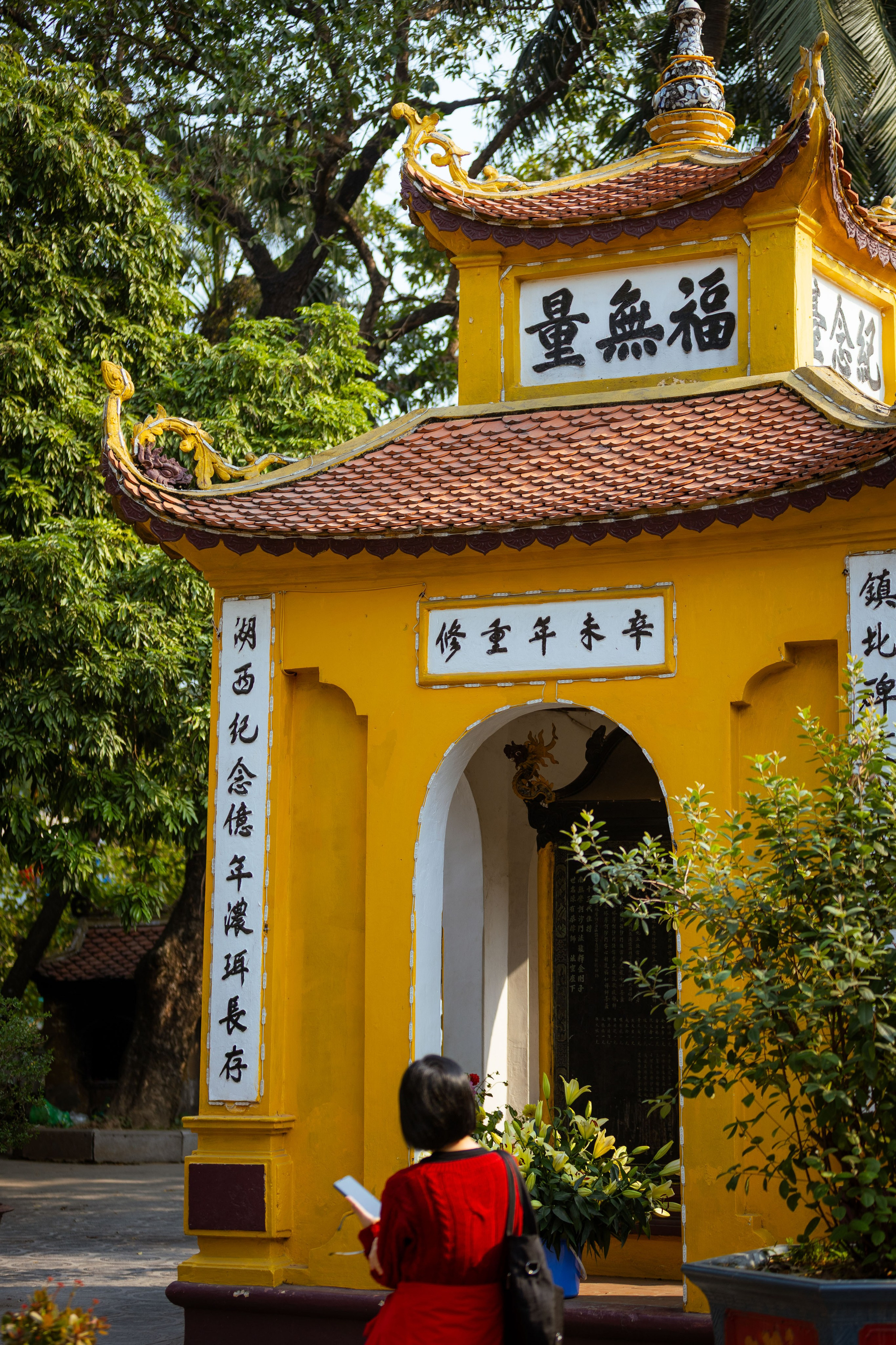 Вьетнам (зима 2025-2026). Фотограф Виноградов Константин