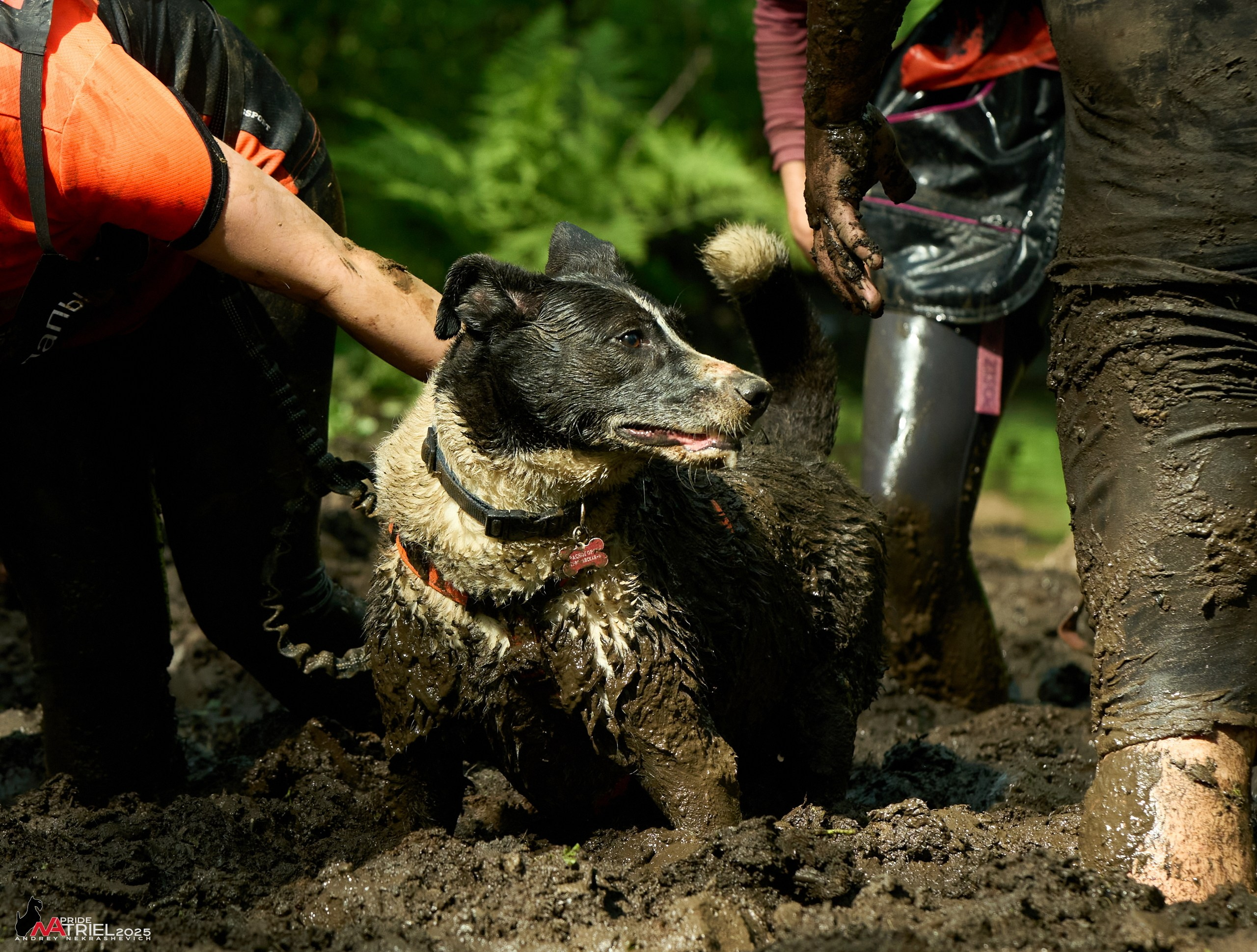 Russian Extreme Dog Trail — 2025
