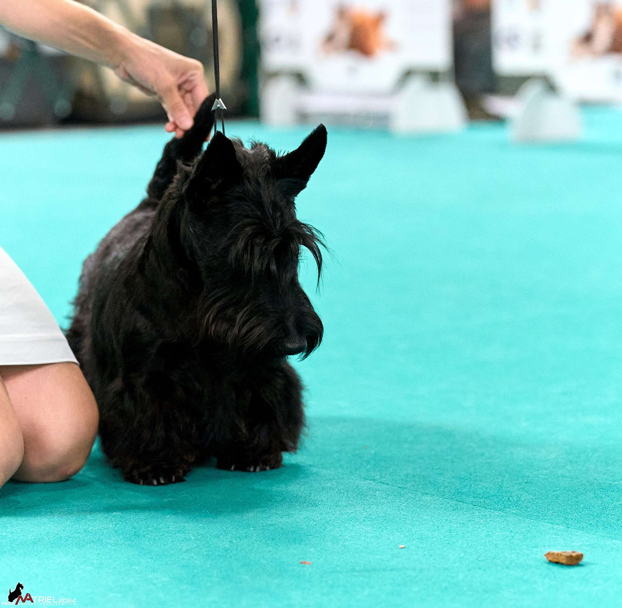 Съемка на выставке в Крокус