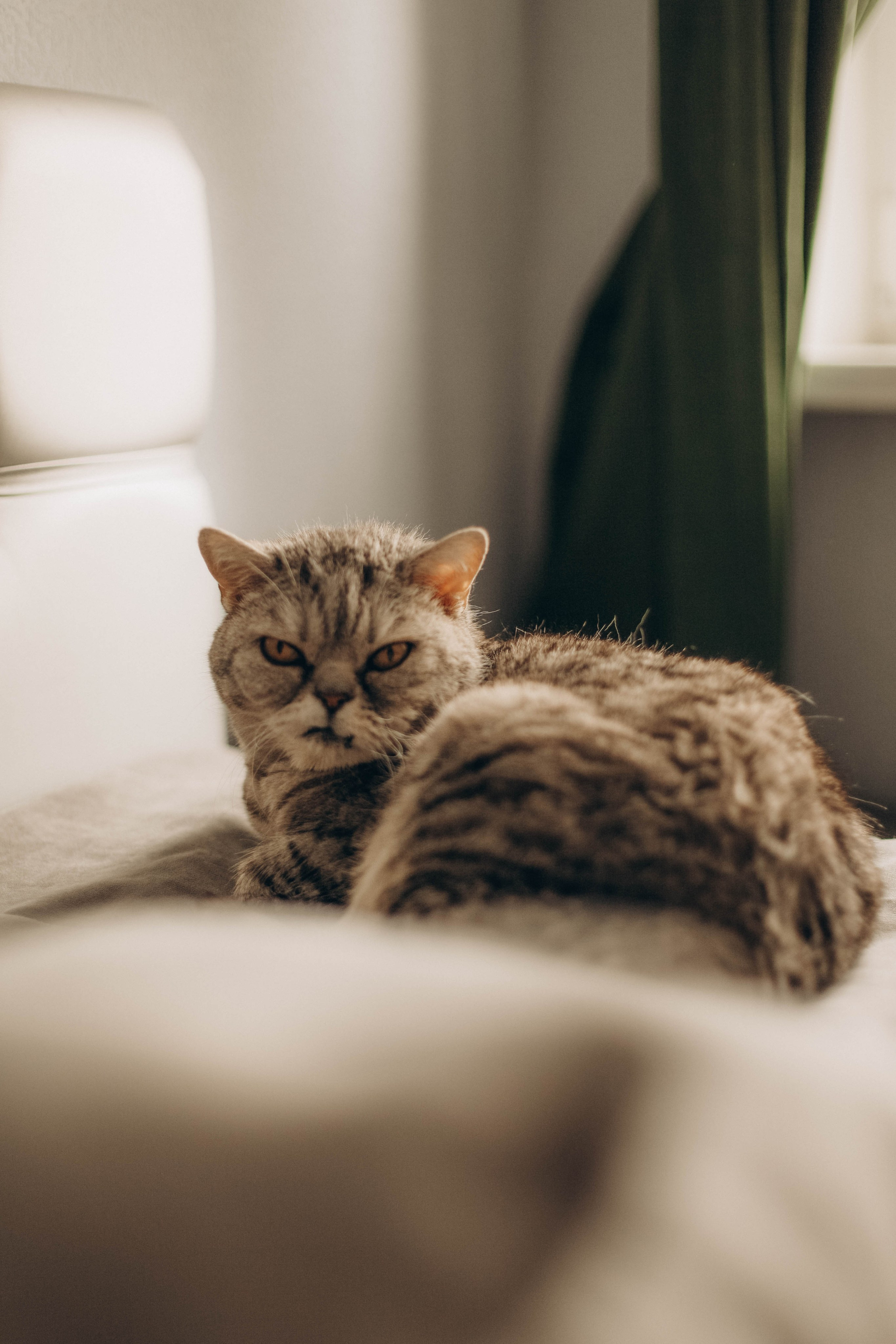 Миша. Семейная фотография в Санкт-Петербурге Елизавета Шепель