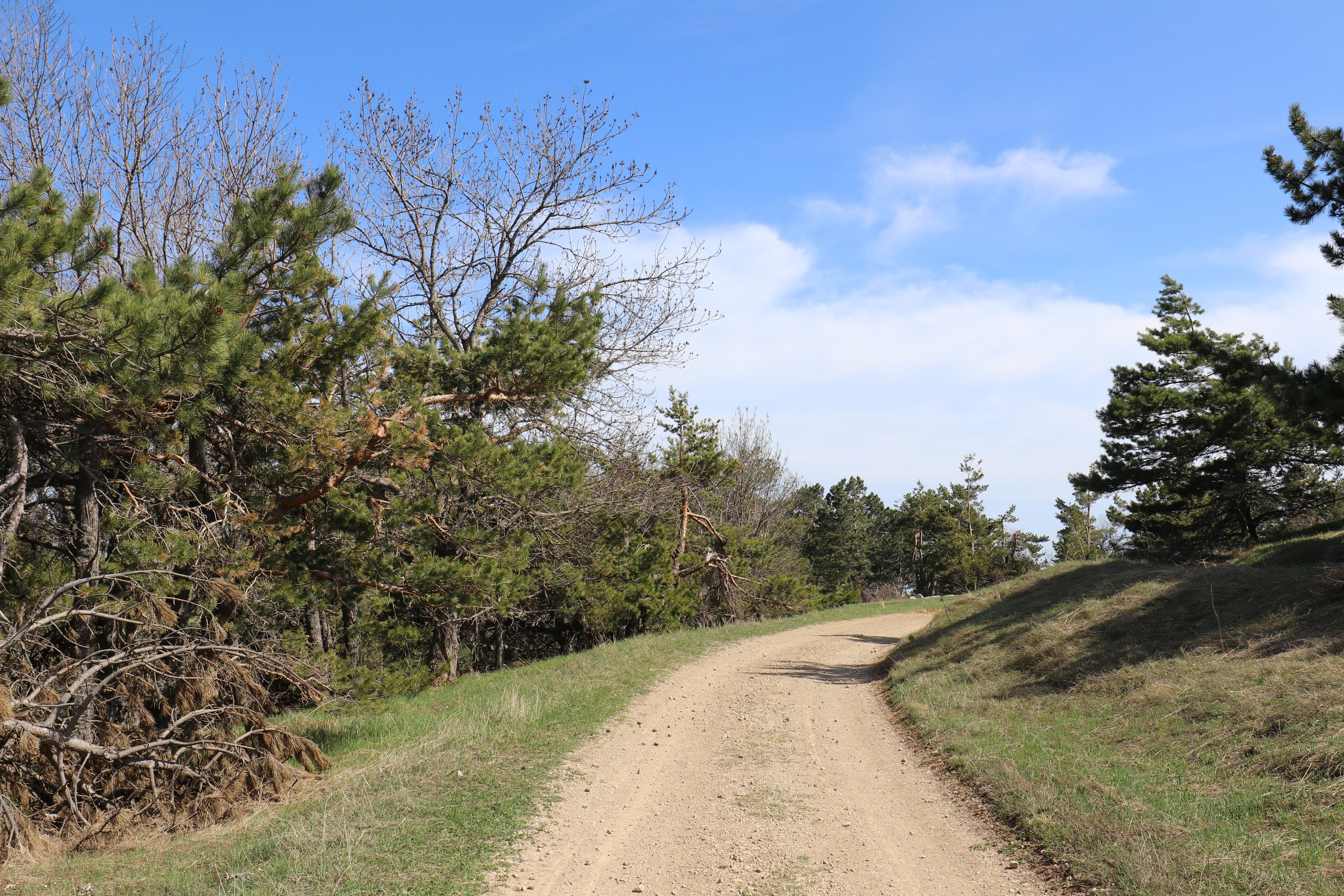 Крым. ЮБК (Бахчисарай, Кастрополь, Таракташская тропа). Май 2021. Путешественник-фотограф из Санкт-Петербурга Татьяна Свистулина