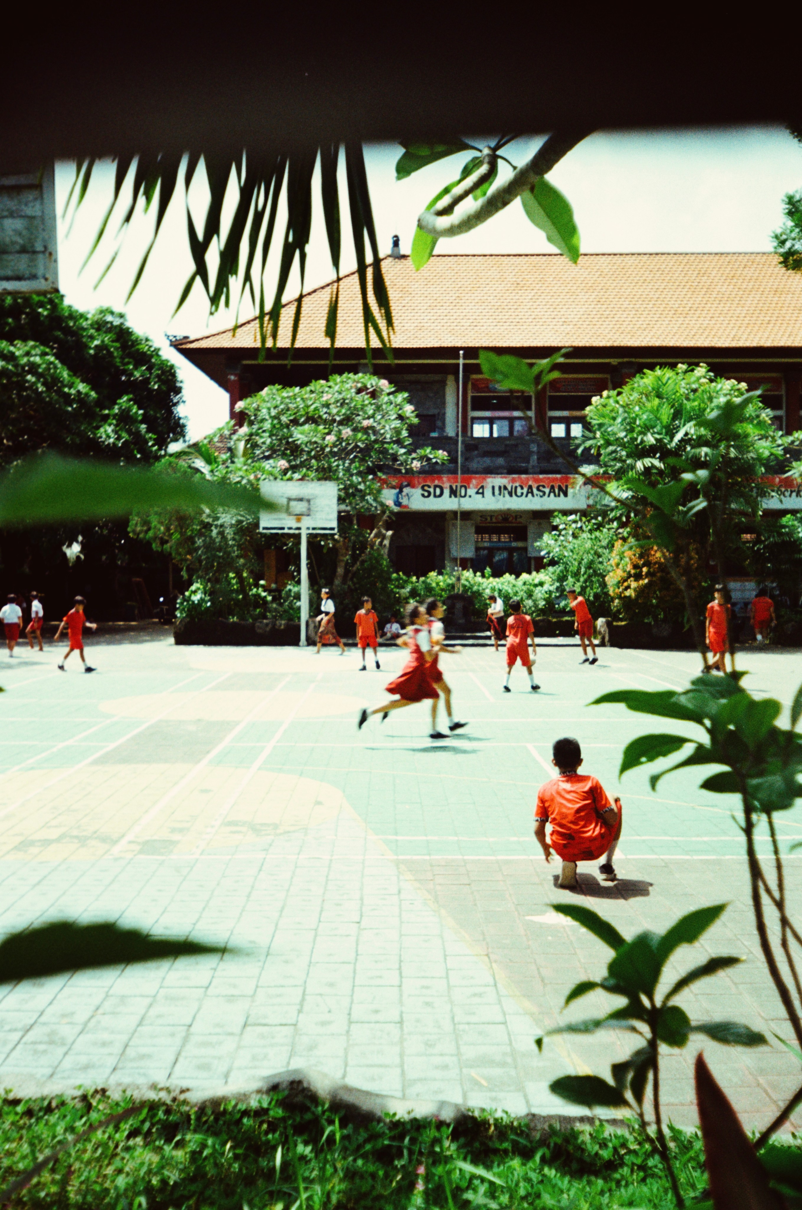 SUN. Виолетта Скрипка