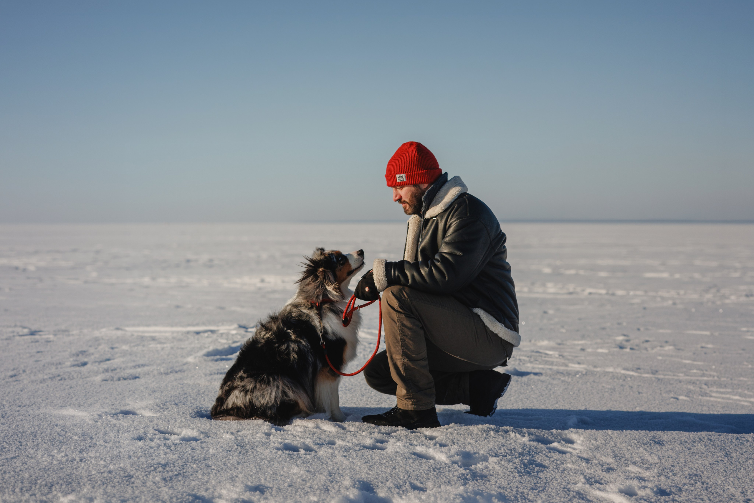 Константин и Локи. Фотограф в Санкт-Петербурге Алёна Губинская