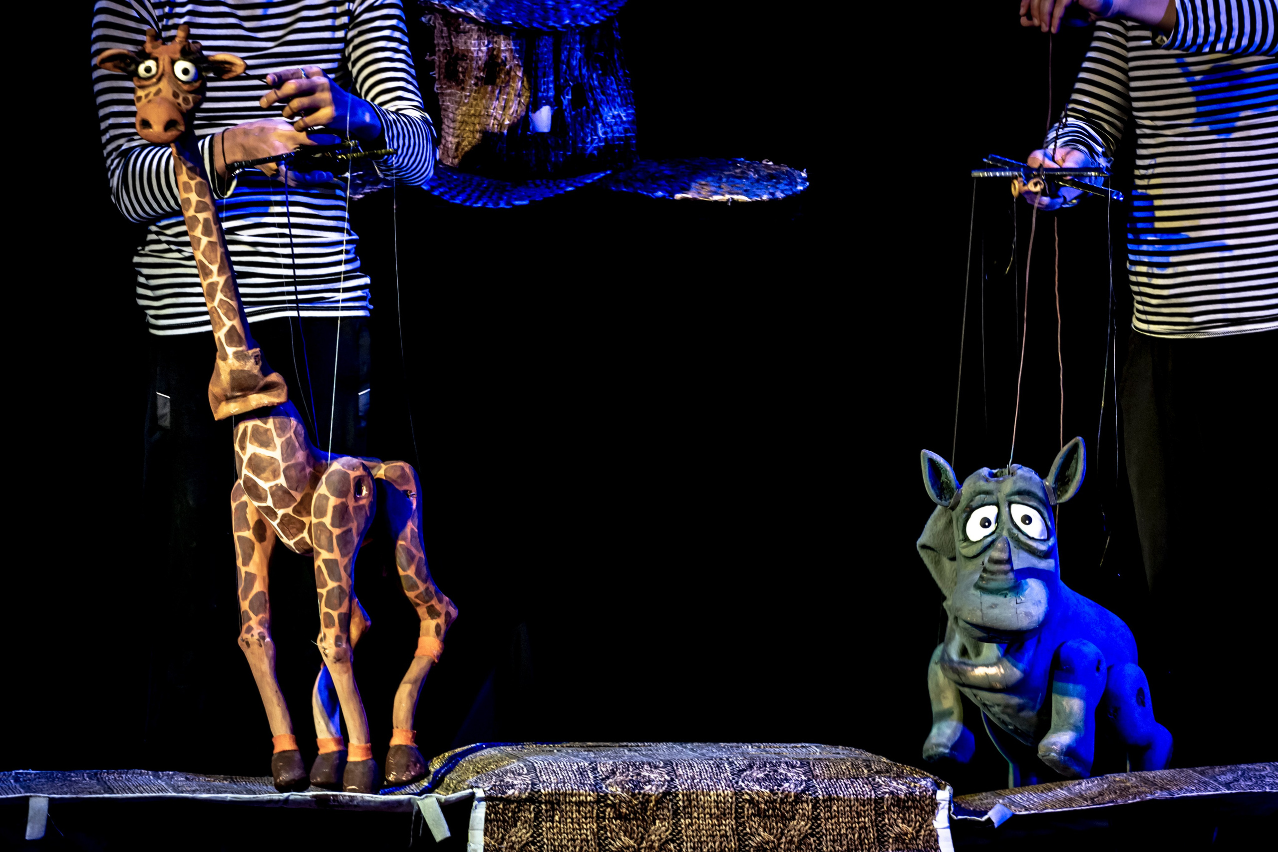 Жирафа и носорог спектакль театра Саквояж. Фотограф в Сочи Юрий Шептаев