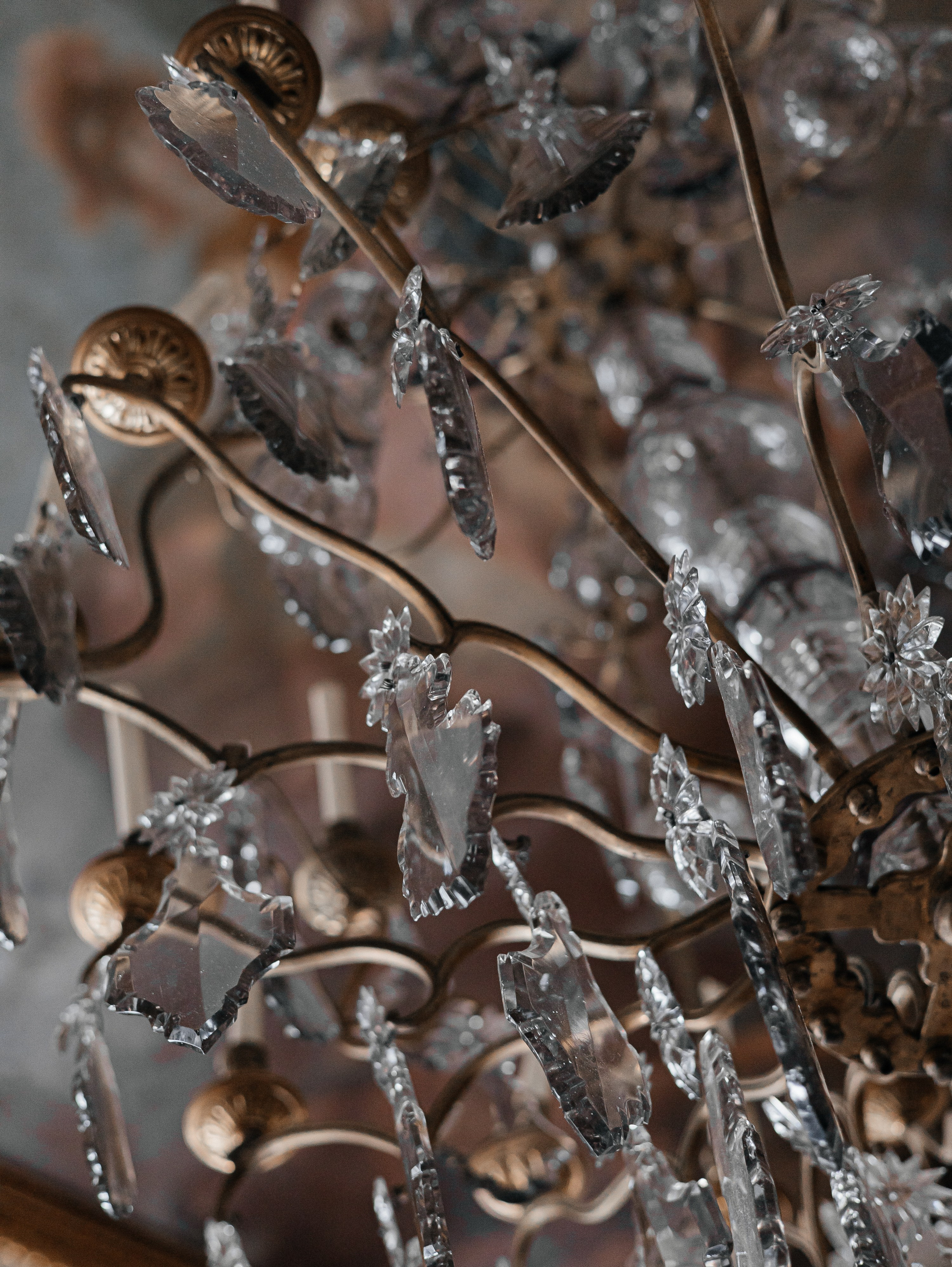 Фотоотчет с экскурсии в музей-заповедник «Кусково». Свадебный и репортажный фотограф в Москве