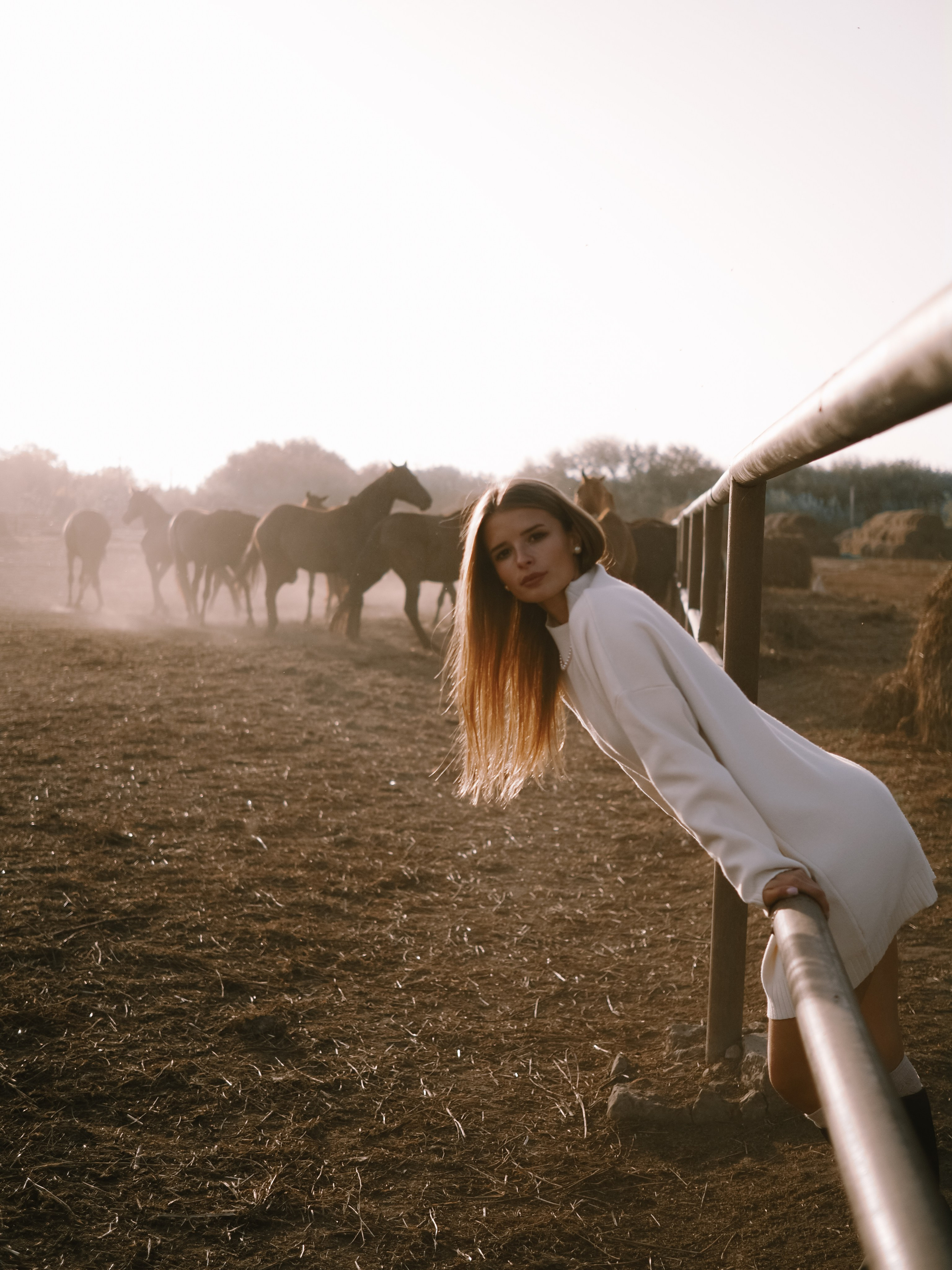 Фотопроект с лошадьми. Фотограф Рязань. Семейный Свадебный фотограф