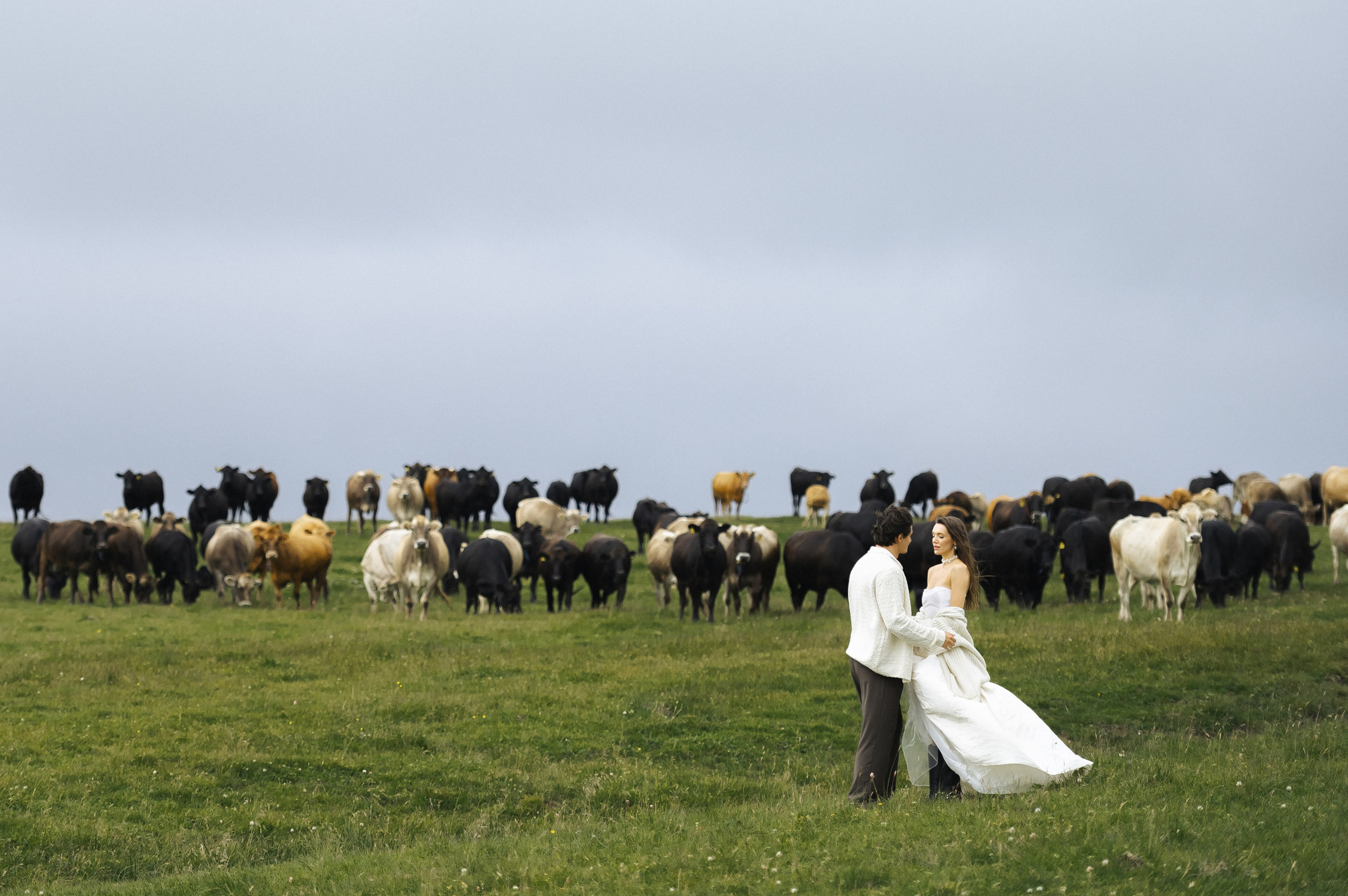 Владимир и Анна. Свадебный фотограф Ростов-на- Дону, Краснодар, Москва