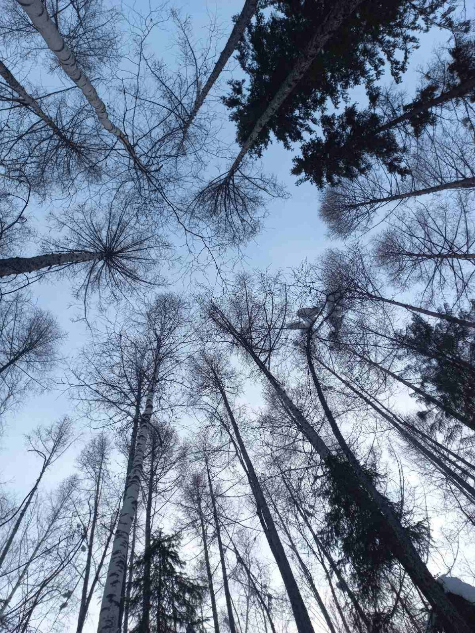 Alina.Dvt — профессиональный фотограф|Красноярск