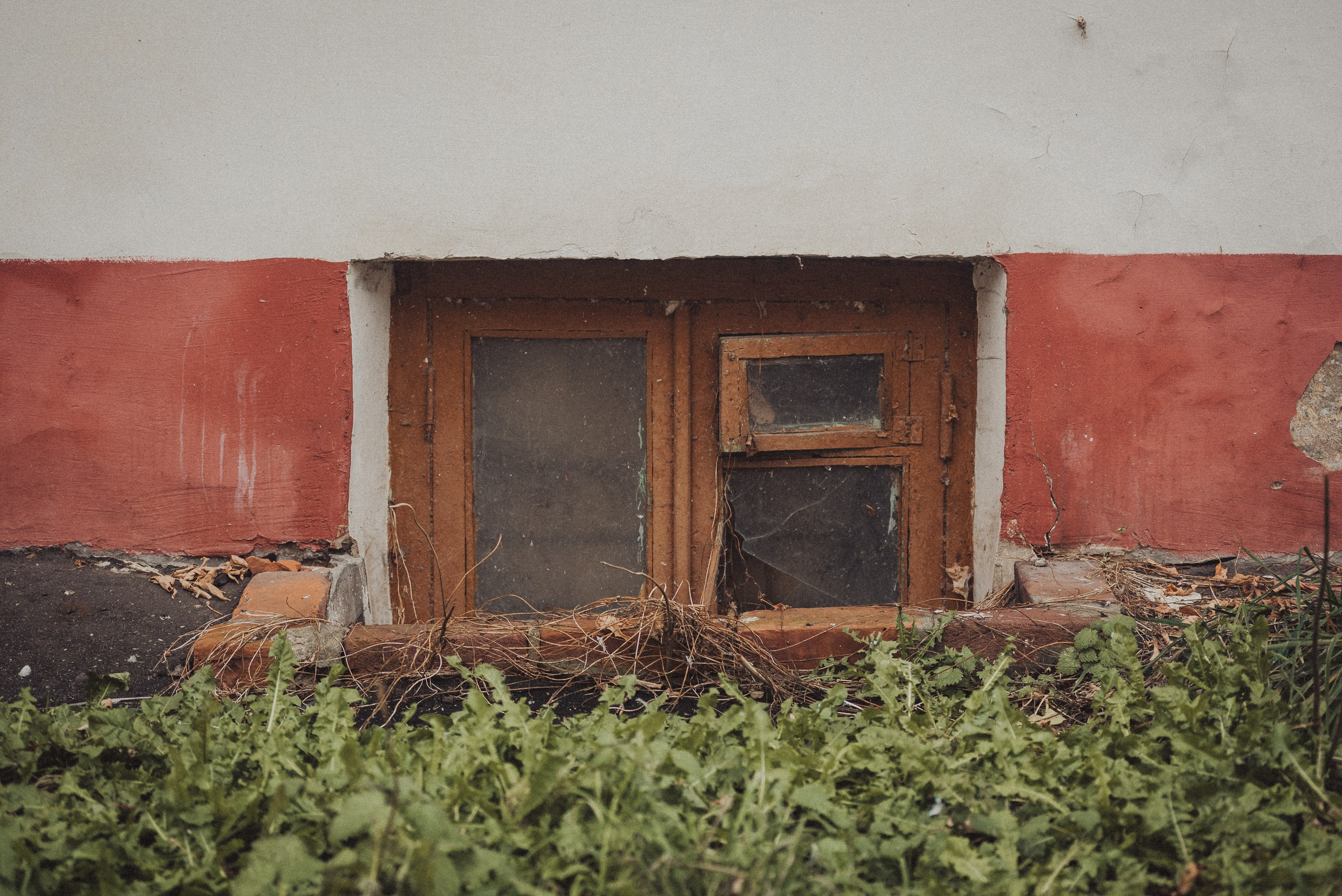 Проект #улицыгорода. Ярославль, улица Волкова. Документальный фотограф Илья Тихановский