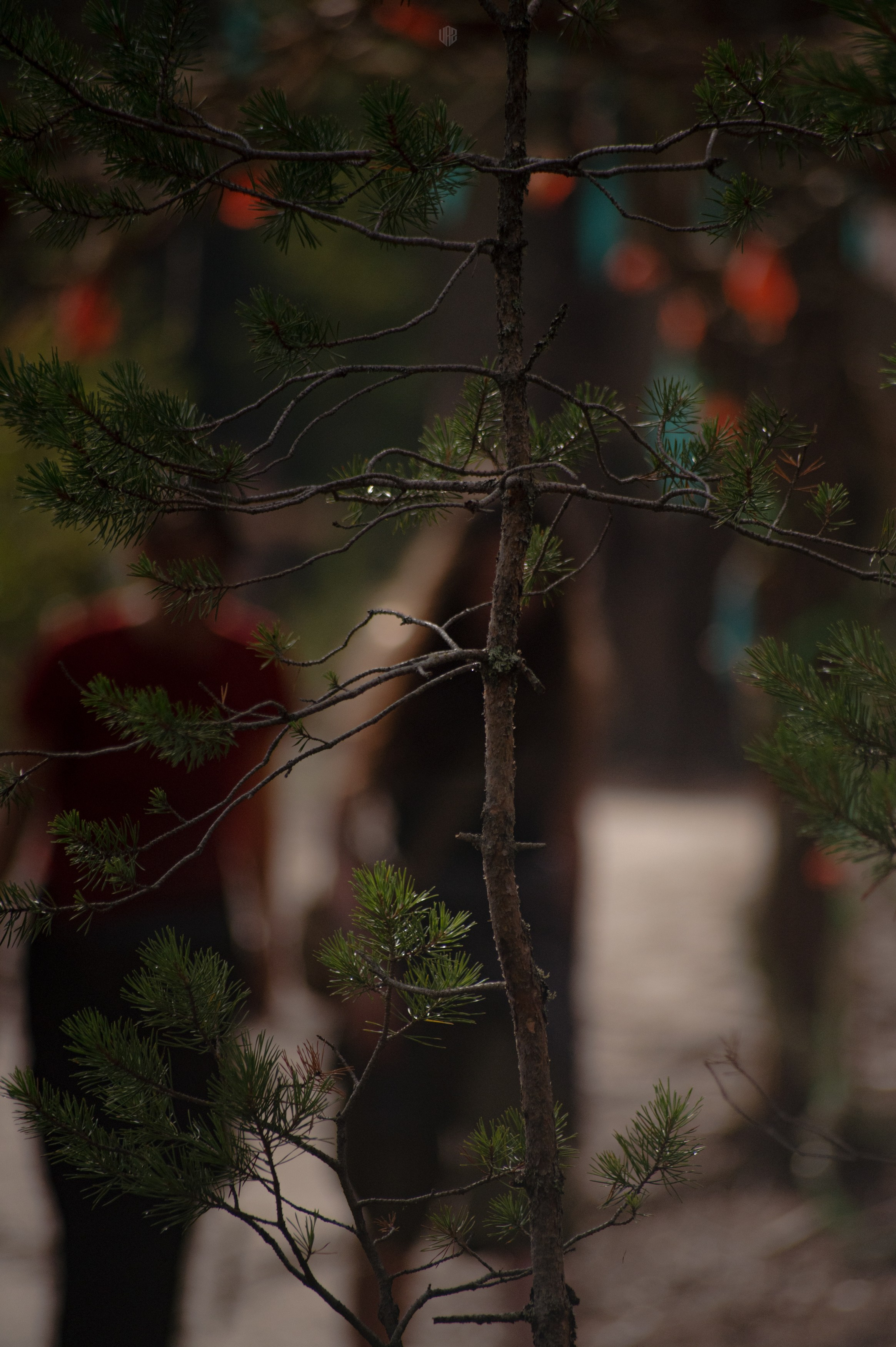 METADREAMS 2024. Контент фотограф Илья Урс